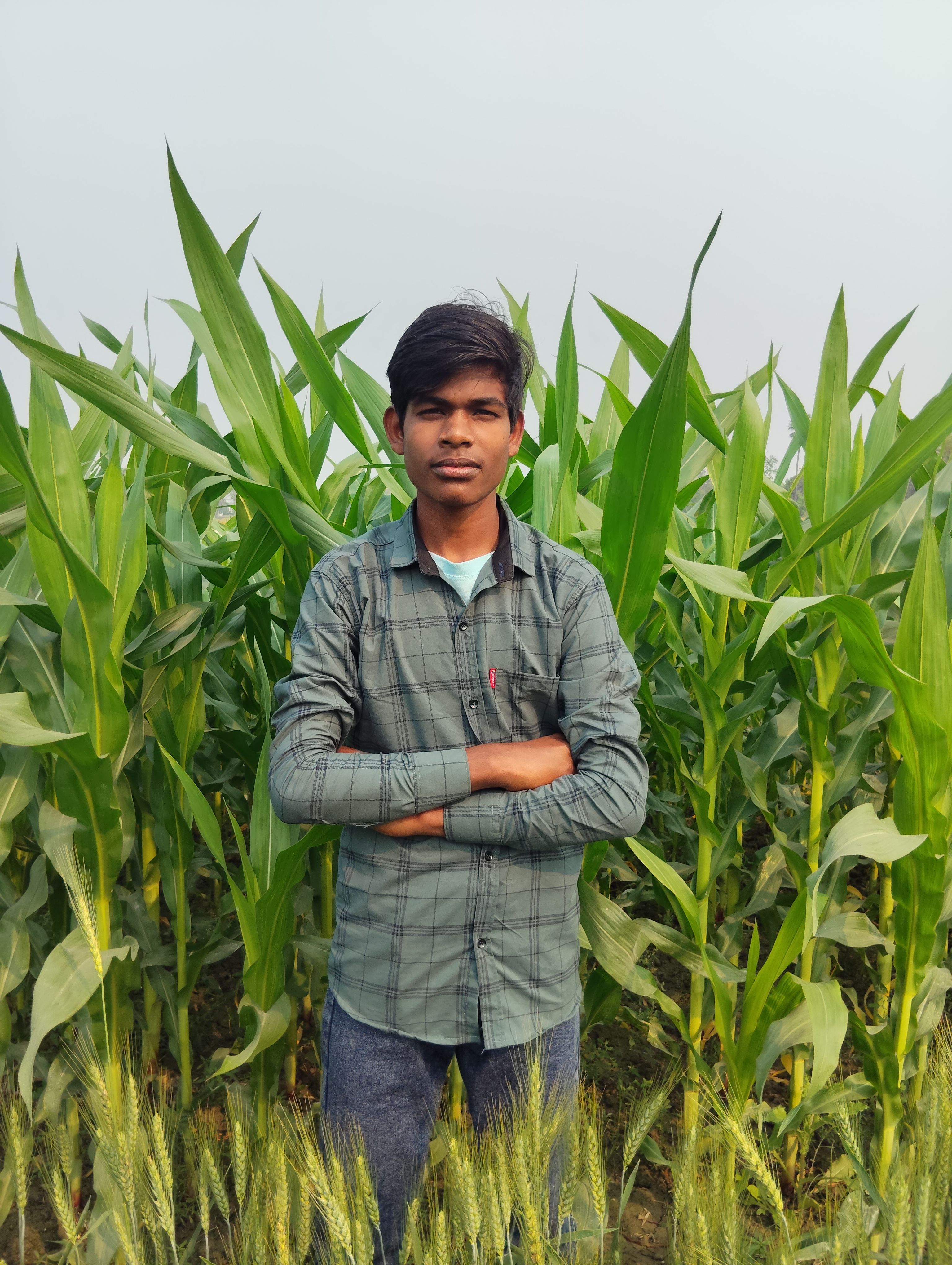 A young farmer stands confidently in a lush cornfield on a bright day.