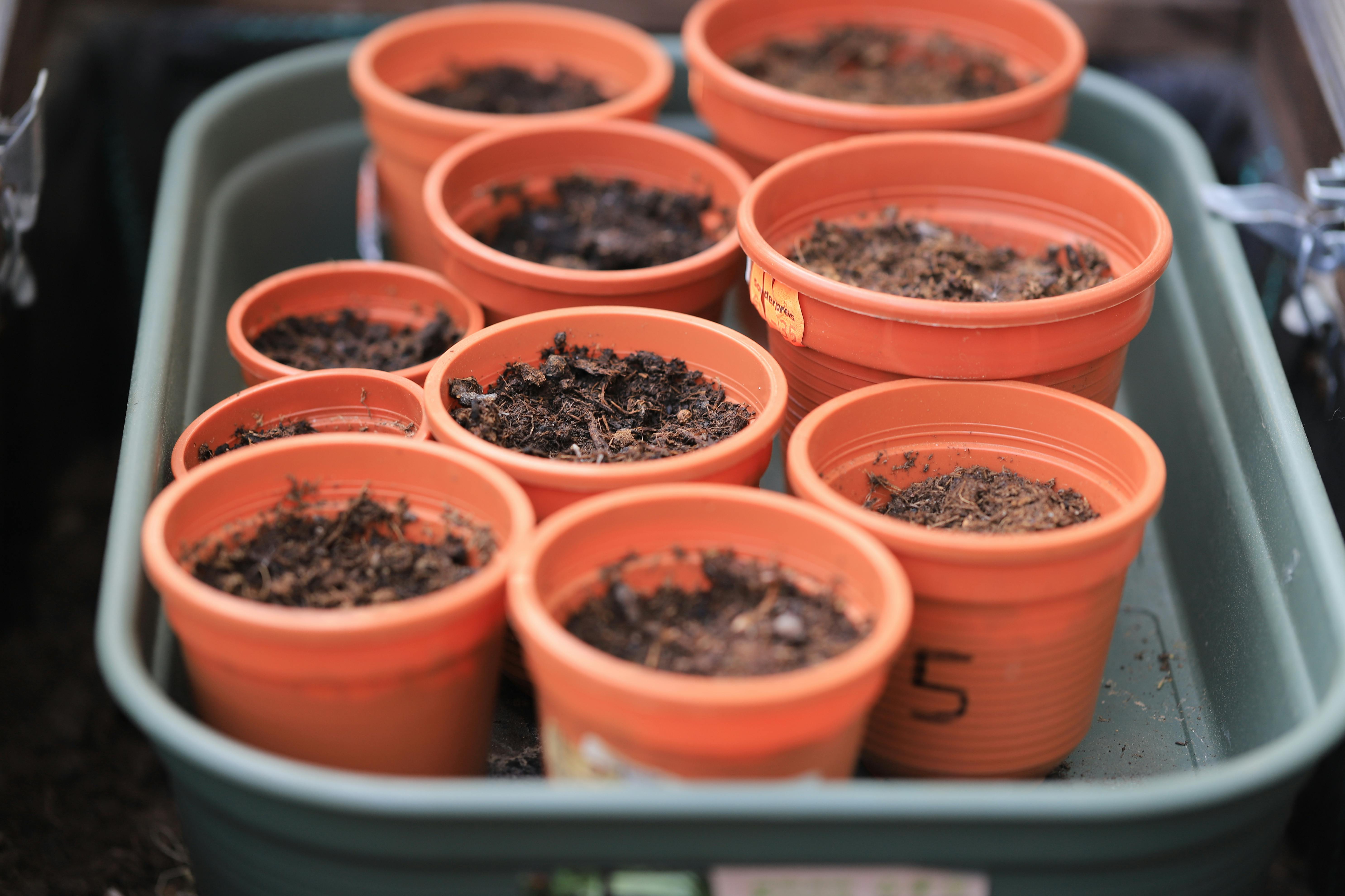 gardening garden how tool — Photo by Christina & Peter on Pexels