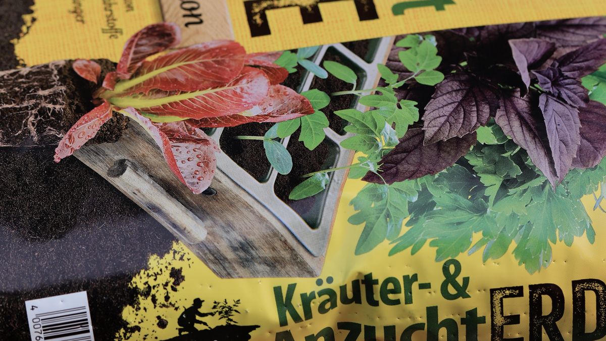 Aménagement dun jardin urbain en permaculture : étapes clés - illustration