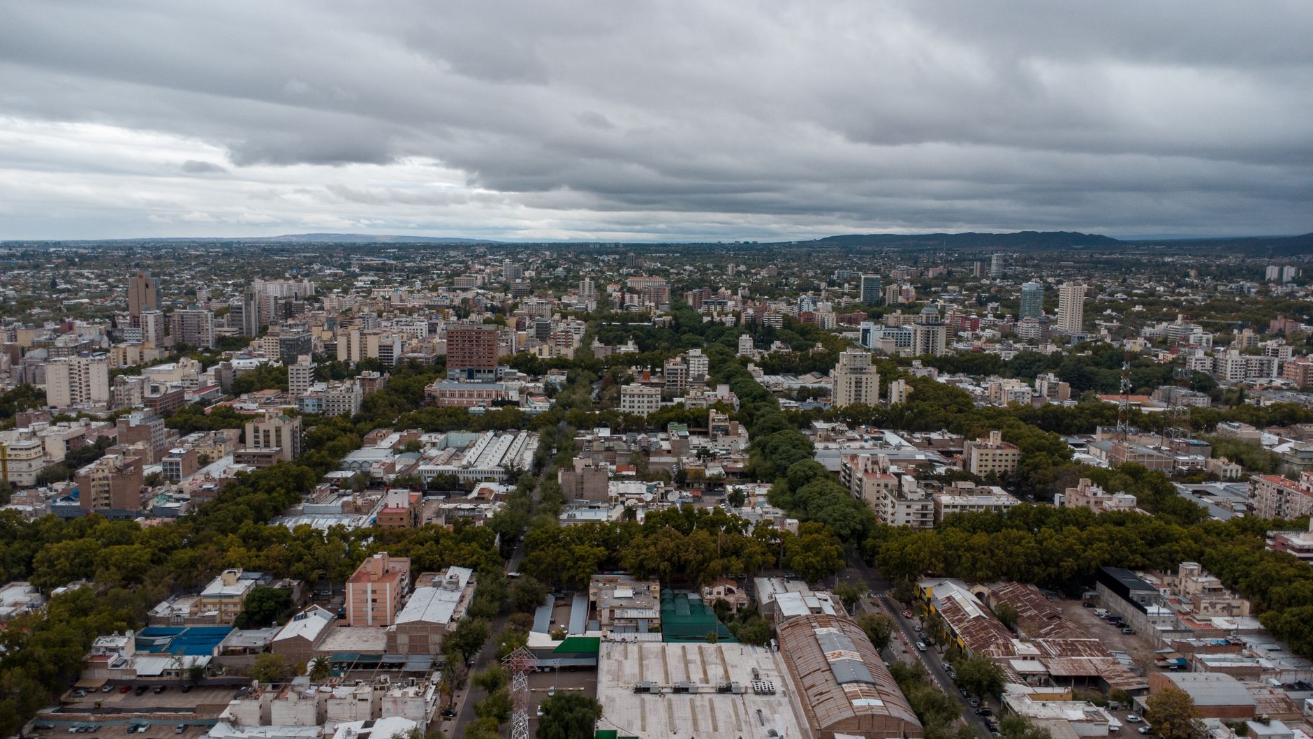 Jose Urtubey: Overview of Celulosa Argentina SA Leadership
