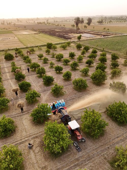 Free Drone shot capturing agricultural activity in Punjab, Pakistan with lush greenery and tractor. Stock Photo