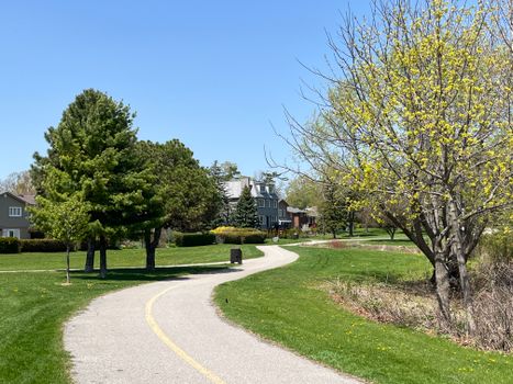 Serene suburban park in springtime Toronto with a winding path and blooming trees.