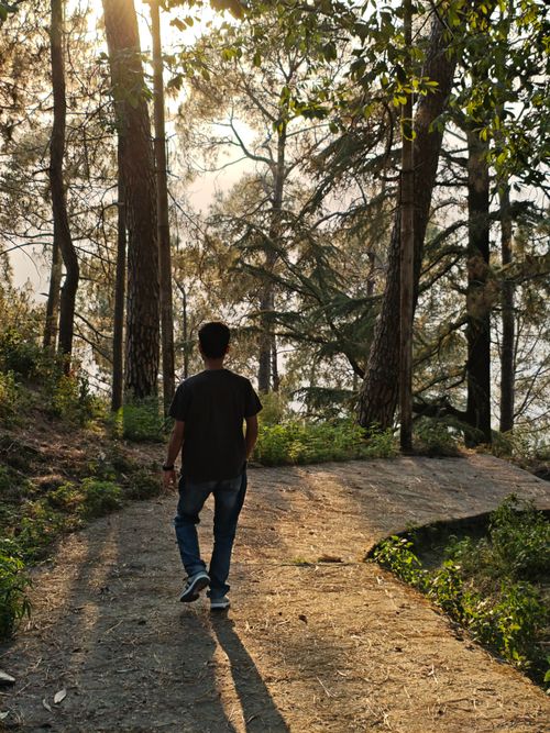 Free A man strolls down a forest path during sunset, creating a tranquil and serene scene. Stock Photo