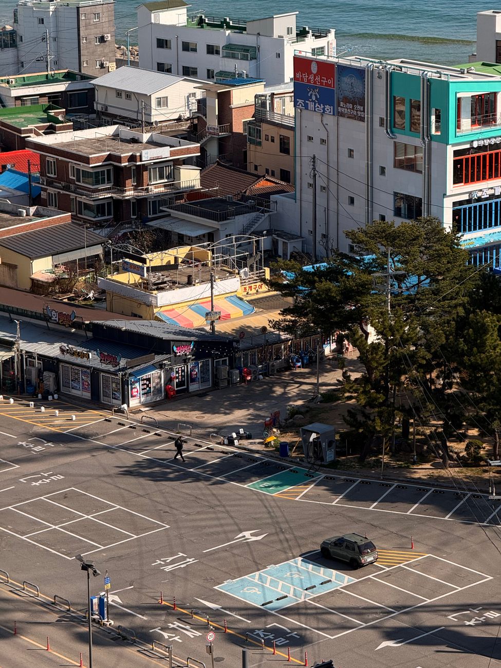 sokcho jungang market seafood