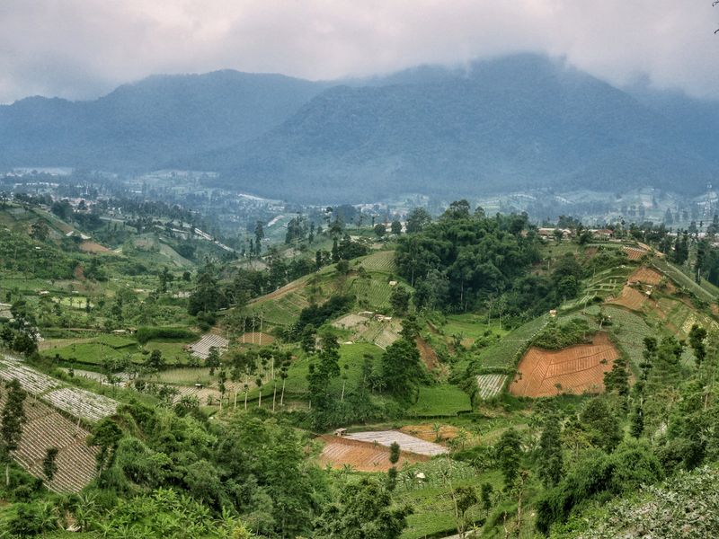 Lembang kebun teh coolcation Indonesia dekat Jakarta