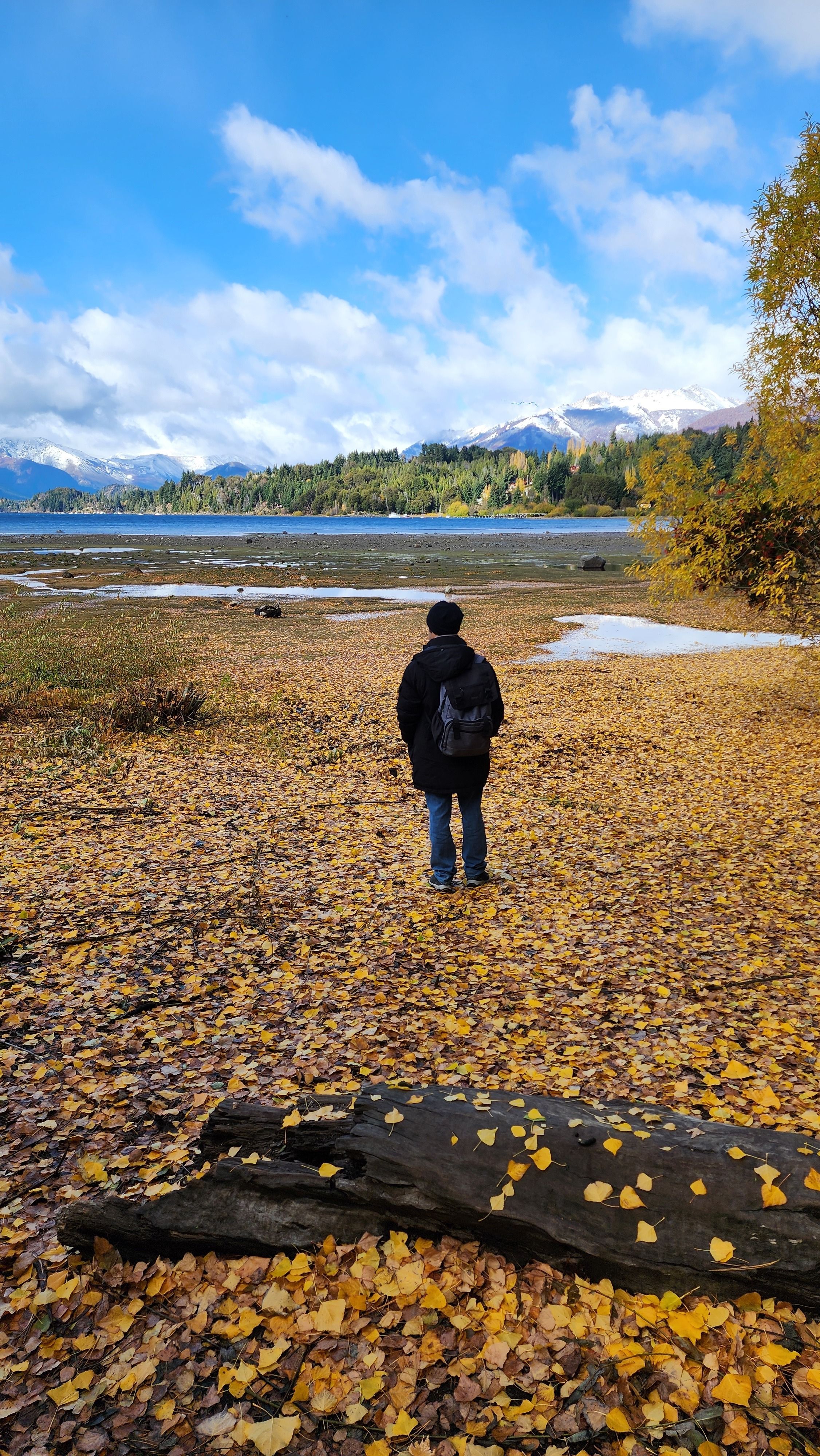 A person walks along a leaf-covered path by a picturesque lake in fall, Bariloche, Argentina.