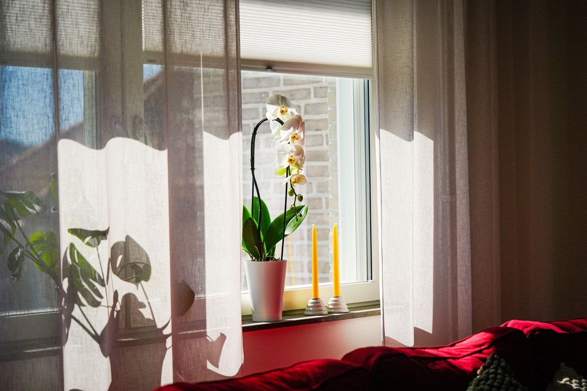 Moderne Frühlings-Fensterdeko: 5 DIY-Anleitungen für einen neuen Look — Fertiges Werk