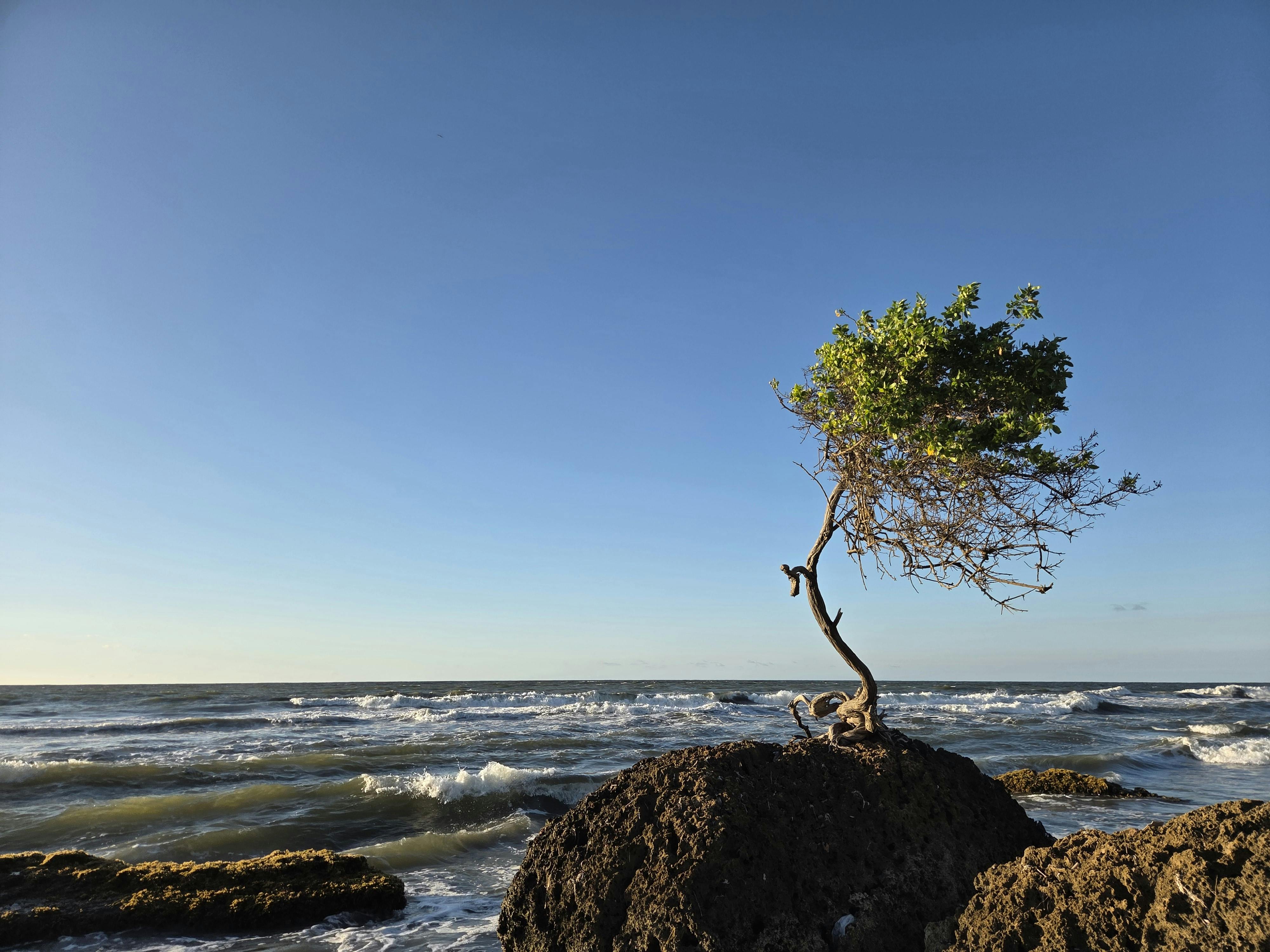 climate resilience, sea level rise, drought mitigation, ecosystem restoration, climate policy, Climate adaptation — Photo by 
