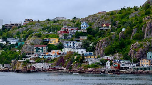 Free stock photo of st john s newfoundland