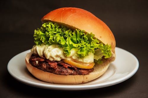 Hambúrguer Com Alface E Queijo Em Um Prato Branco