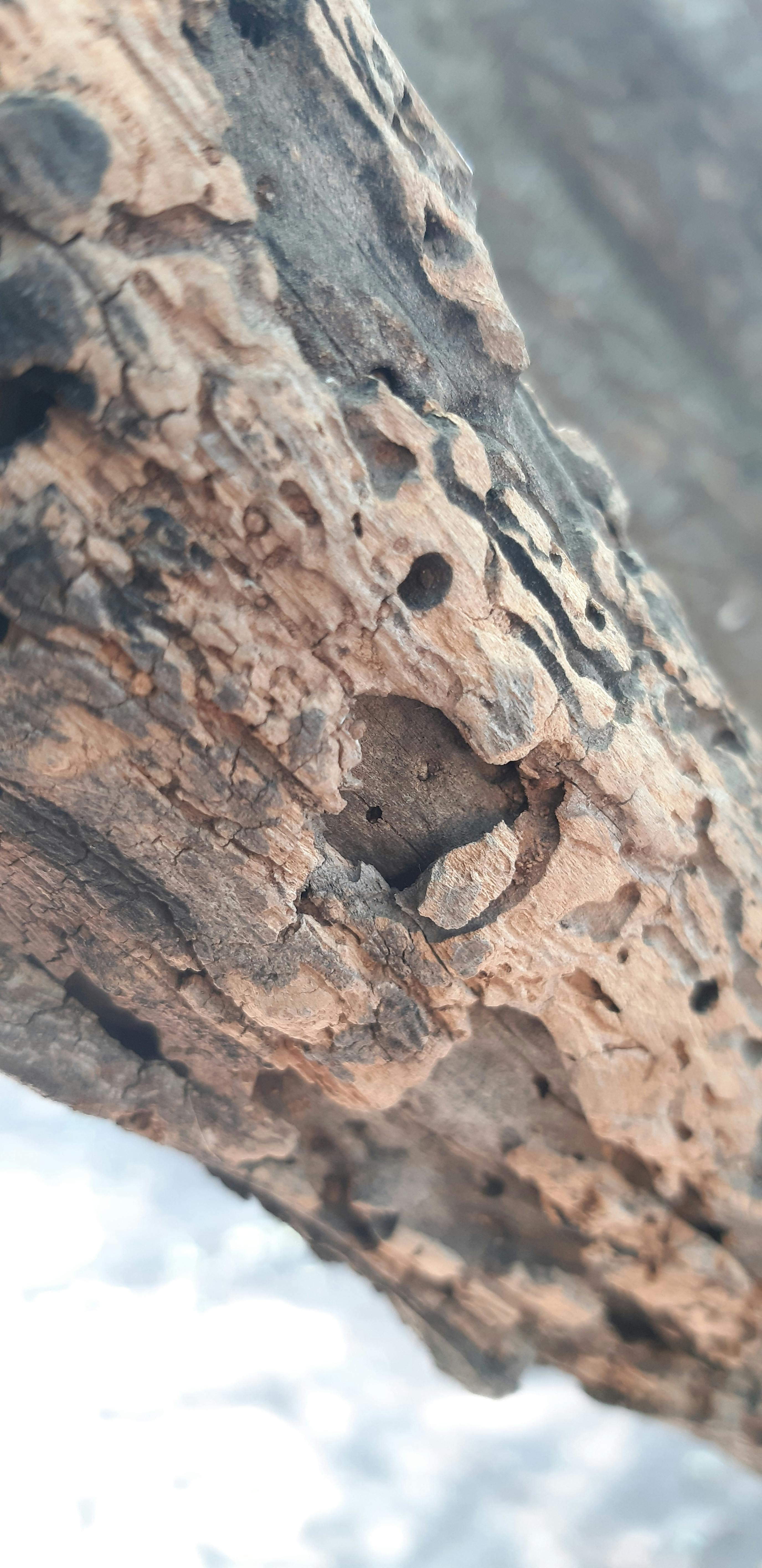 Healthy breakfast with juice, oats, and fruit on a table