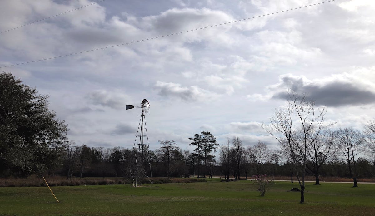 Close-up of high-fiber foods like lentils, beans, oats and seeds in small bowls