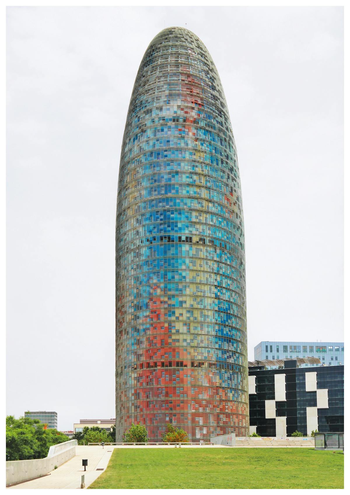 Top view of fresh vegetables, grains, and healthy fats arranged on a table