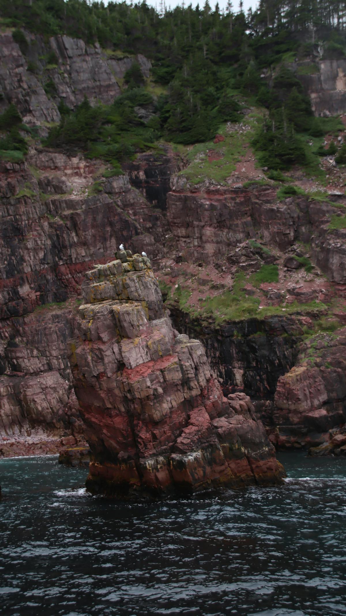 Hand pouring olive oil into a bowl with herbs and lemon for salad dressing