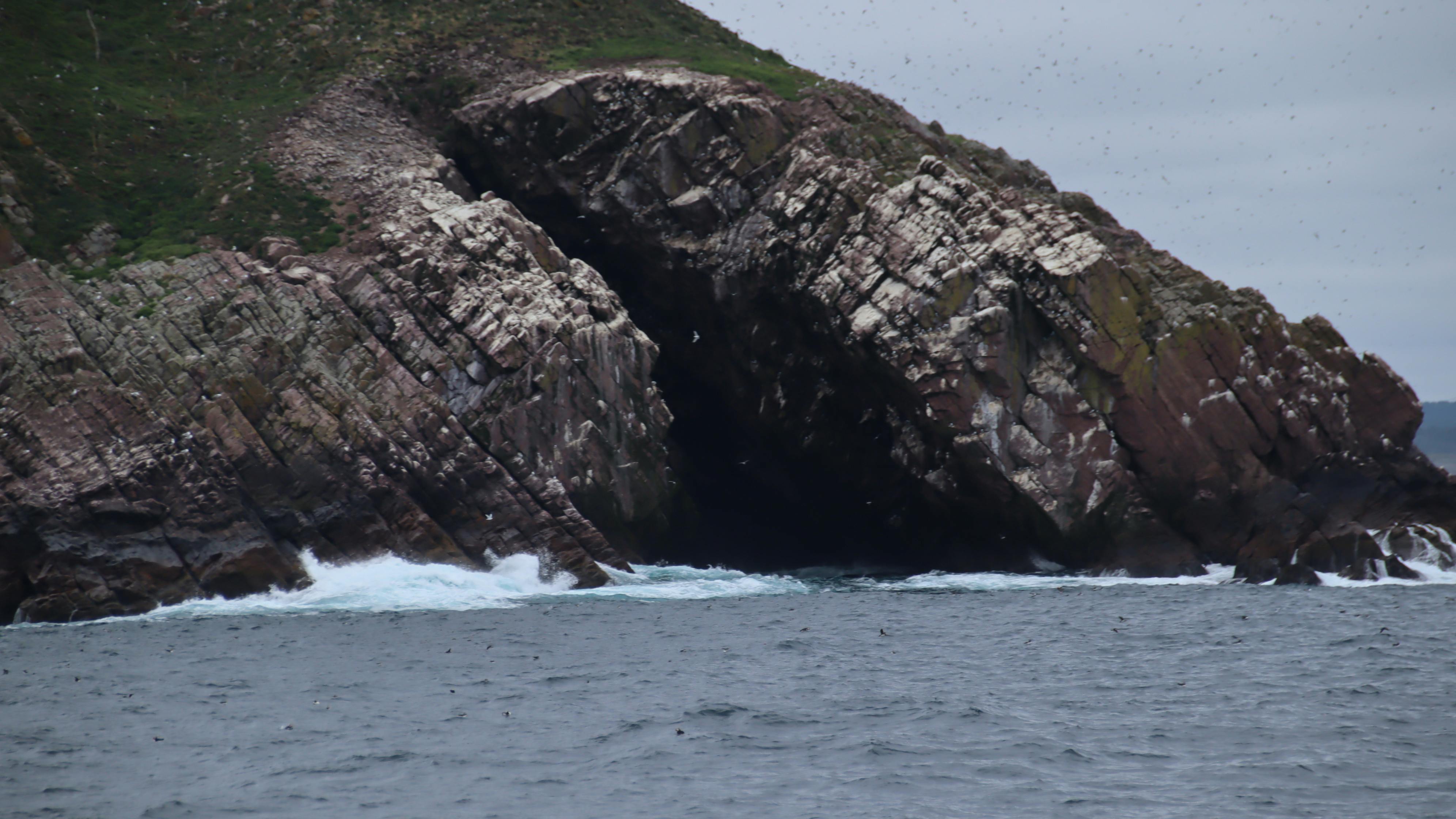 High-fiber vegetarian bowl featuring chickpeas, avocado, tomatoes, grains, and greens