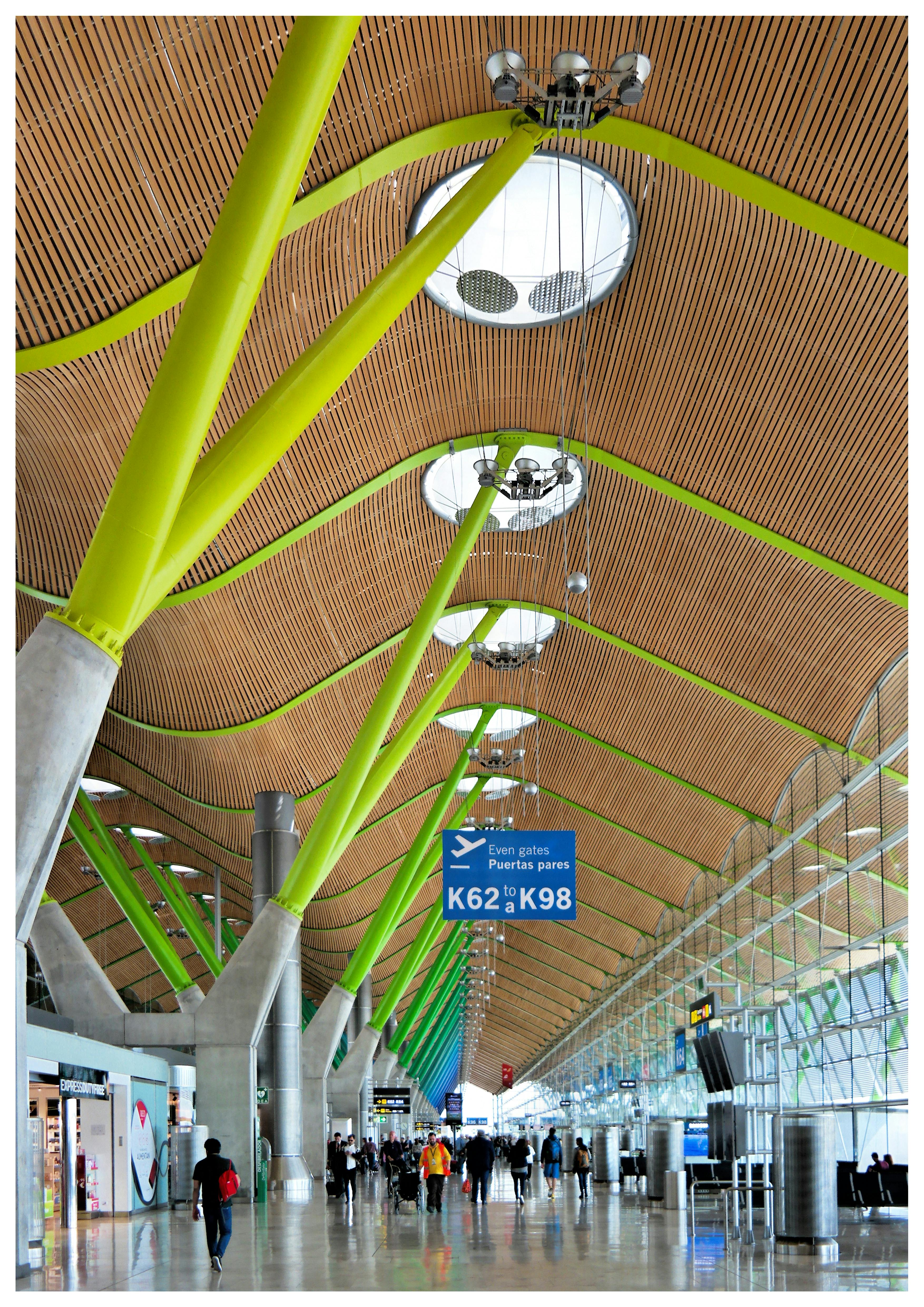 Colorful longevity bowl with grains, beans, vegetables and seeds arranged beautifully in a bowl