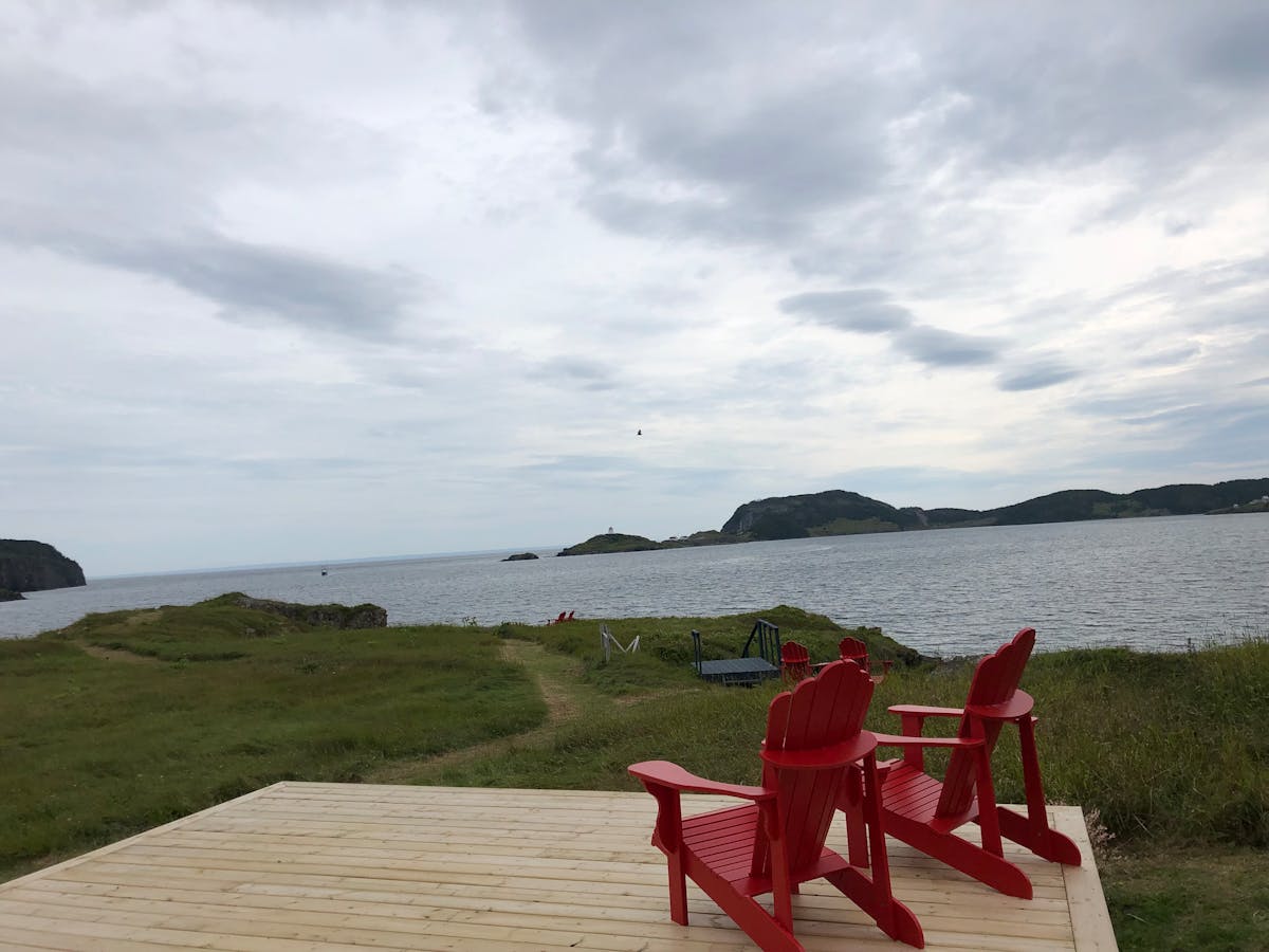 Quinoa being cooked in a saucepan on a stovetop