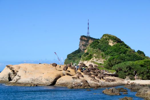 Jinshan District