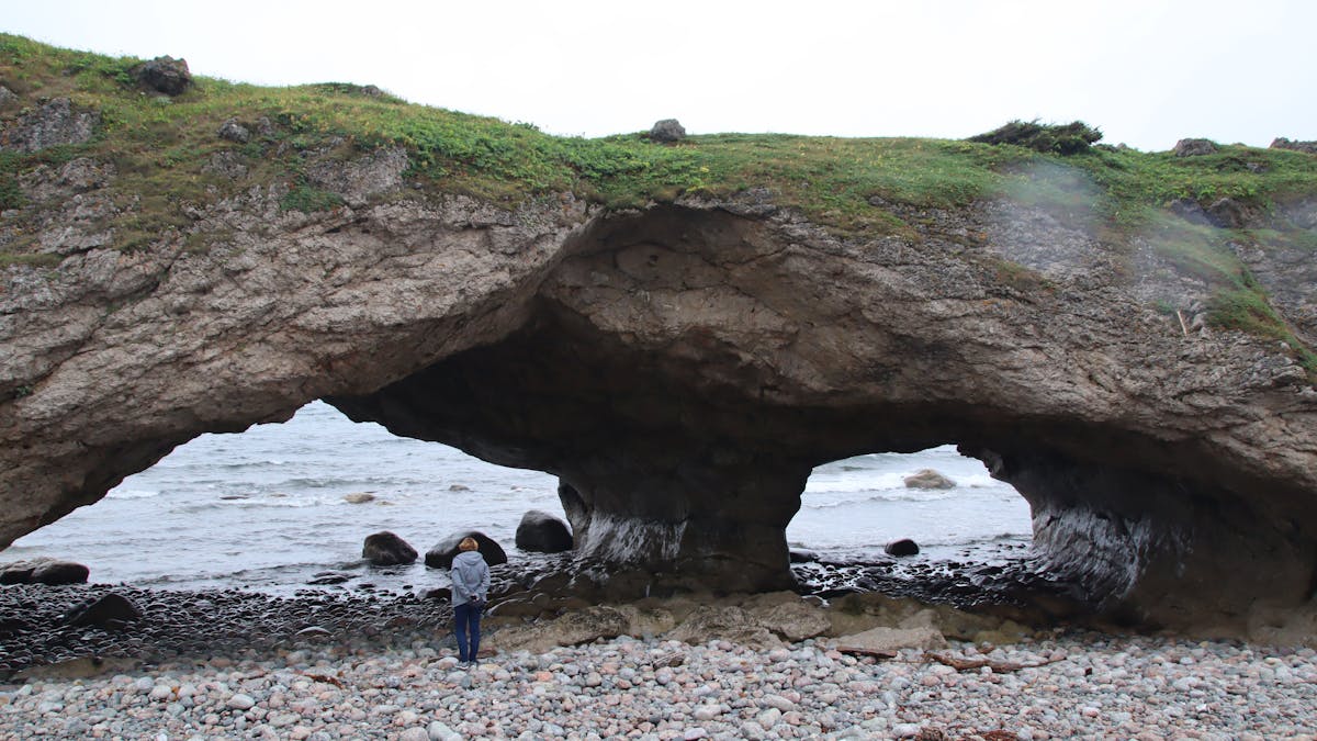 Breakfast table with chia parfaits, fruits, and drinks arranged for serving