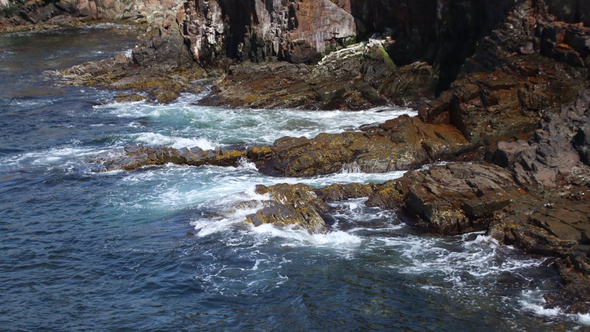 Cocoa powder and spices being whisked into warm milk in a saucepan