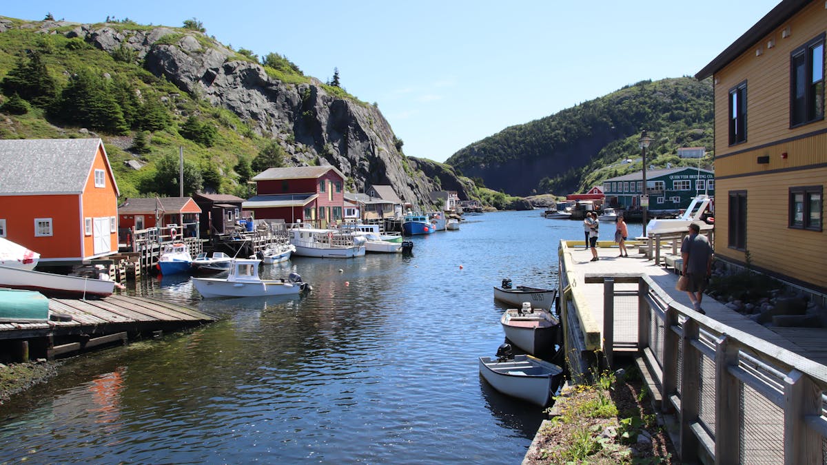 Iced coffee in a tall glass with milk swirling through it