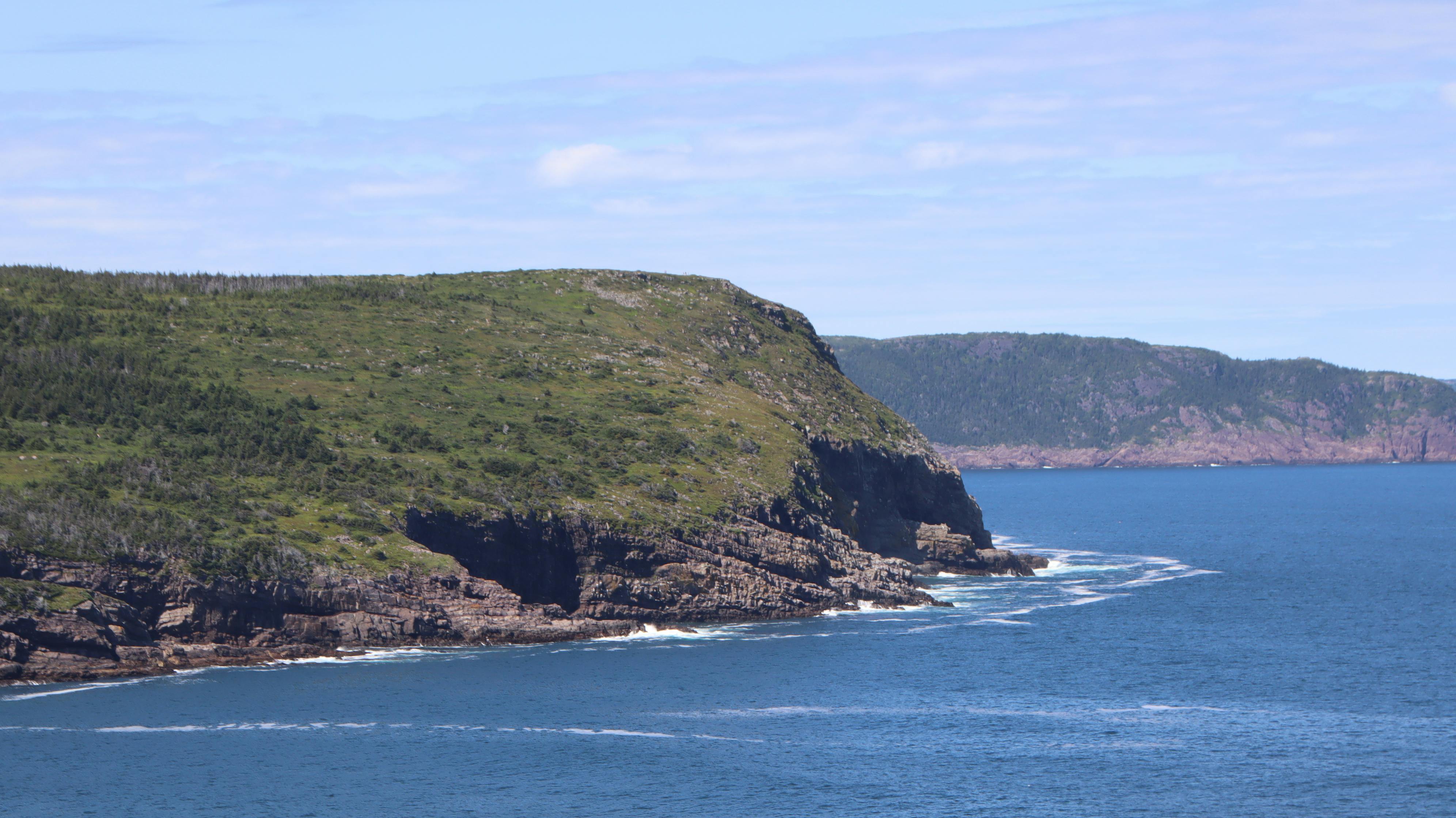 Hands holding a warm latte topped with foam and cinnamon