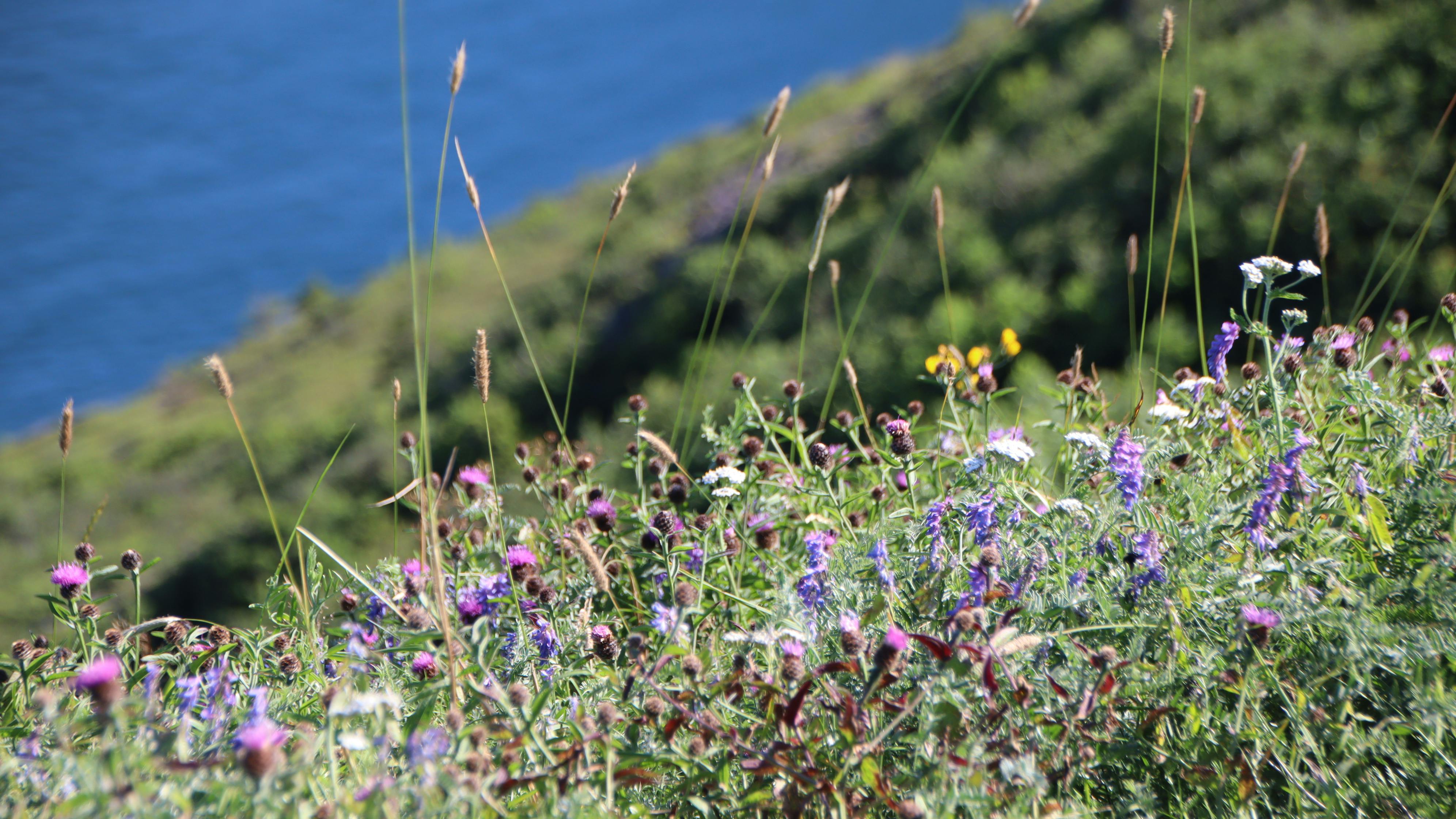 Two people clinking bowls of healthy food, symbolizing a positive connection with eating