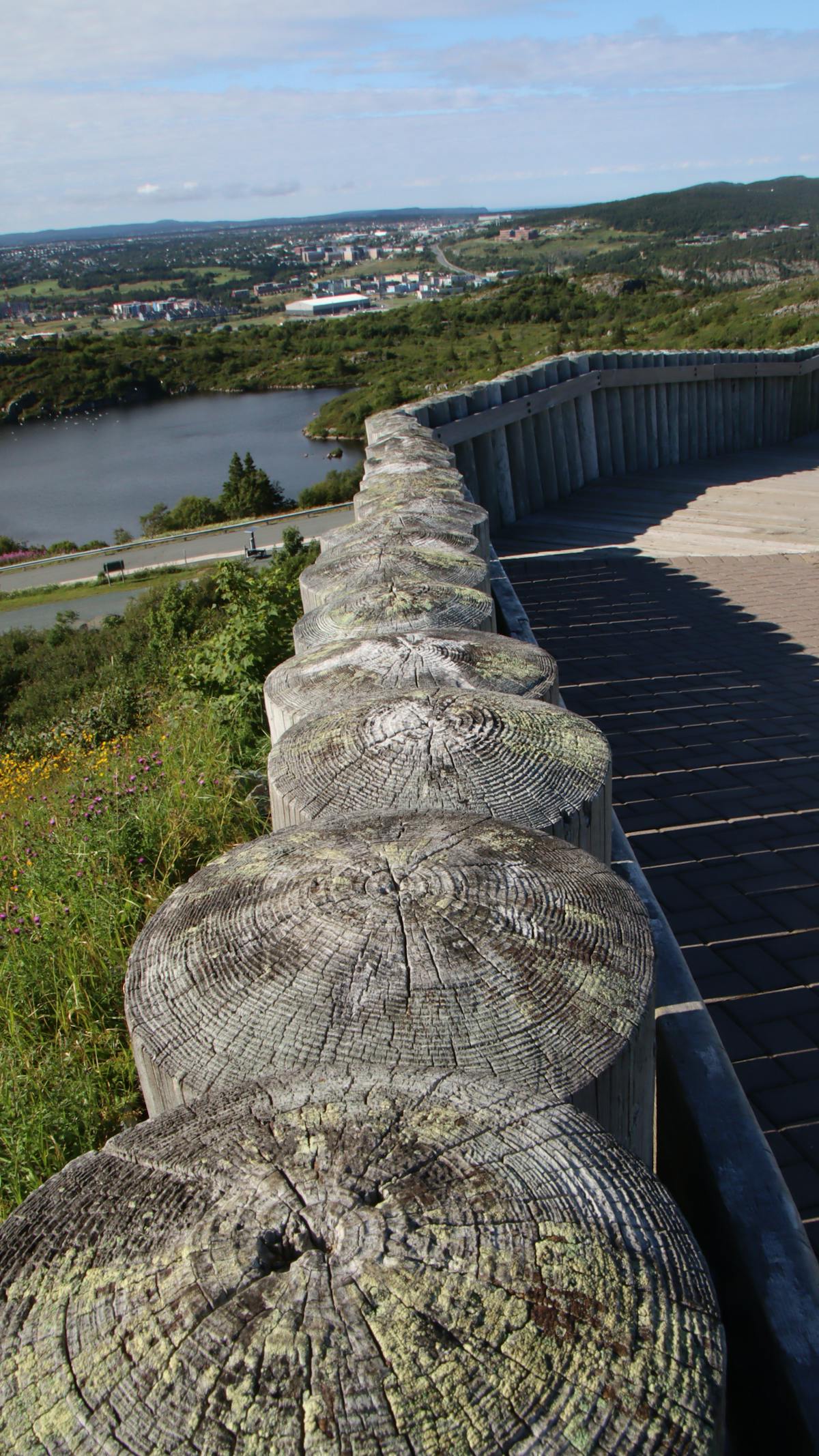 Person writing a meal plan or checklist at a table with healthy foods