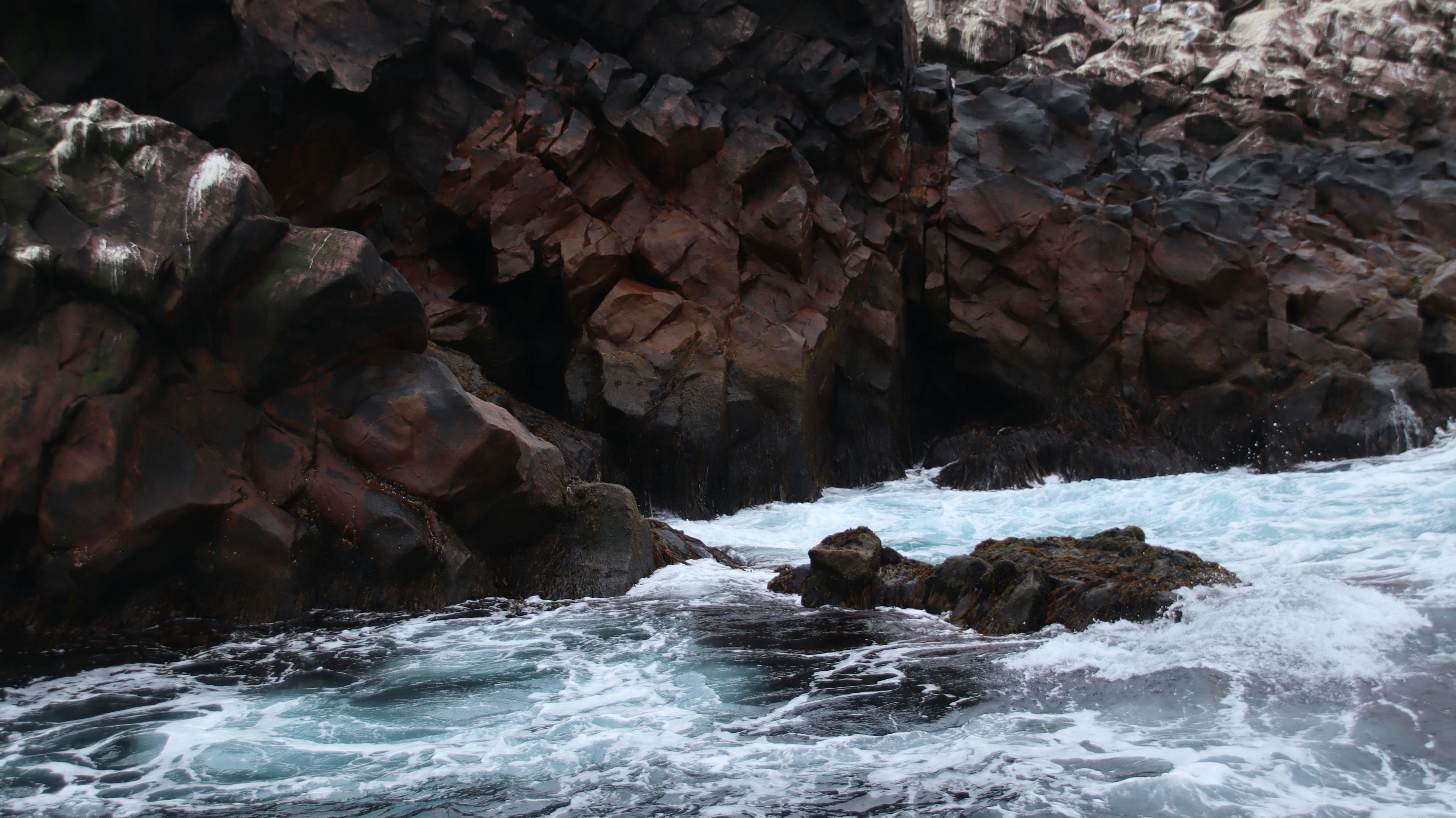 Pouring a thick yellow smoothie into a glass