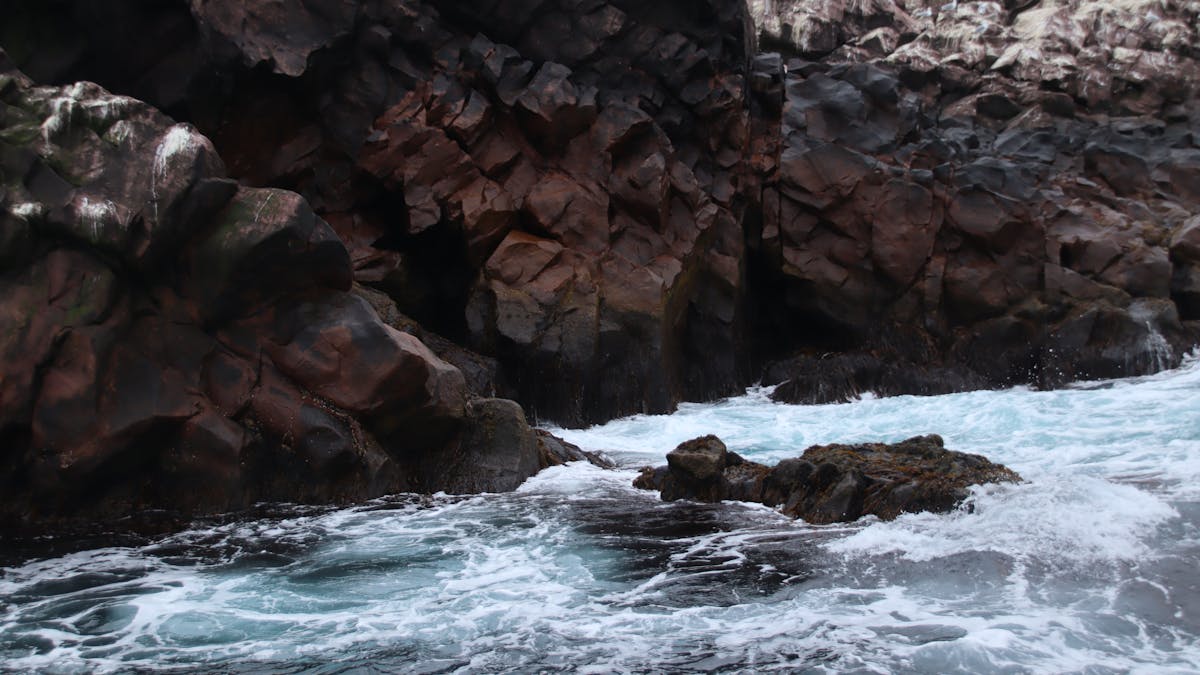 Greek yogurt bowl topped with berries and seeds
