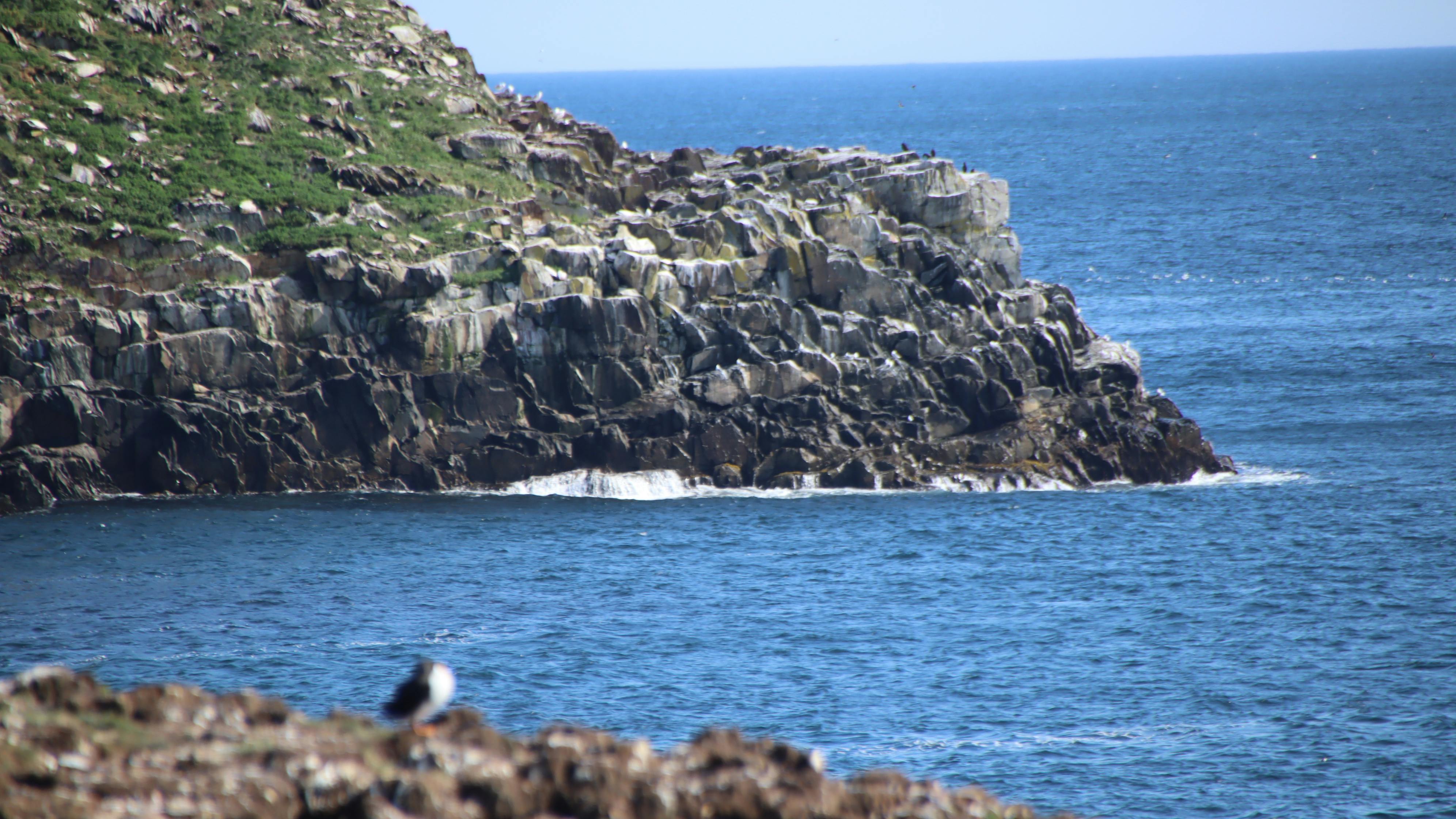 깔끔하게 정돈된 미니멀리스트 거실