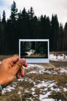 A photo of a hand holding an instant photo of a forest scene in Kananaskis, Alberta, showing a snowy landscape.