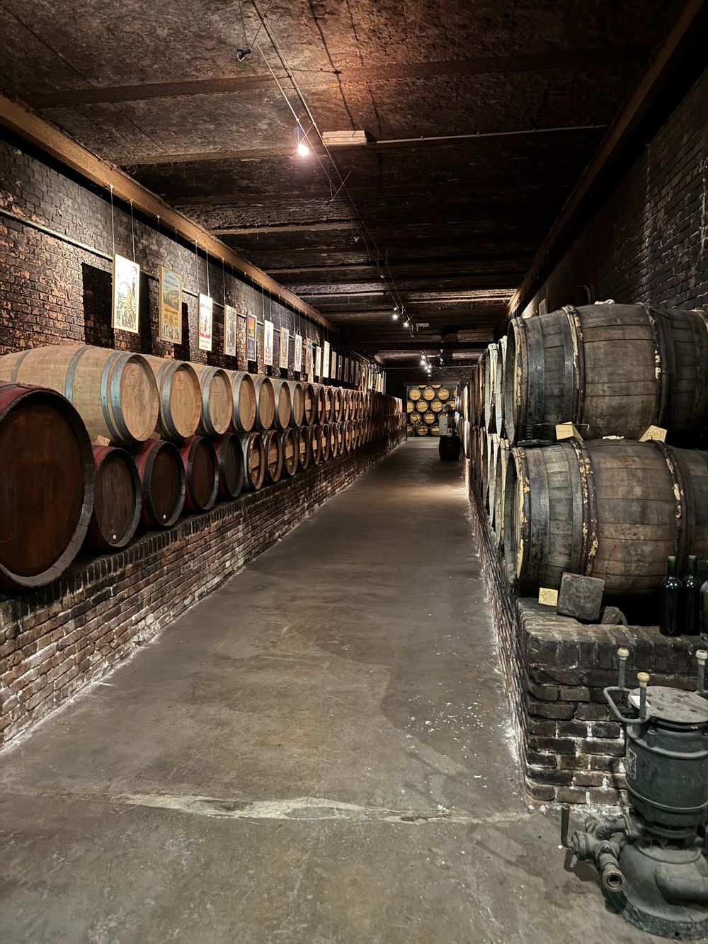 Cava histórica de una bodega de Napa con barricas de roble en hilera