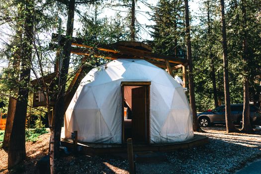 Explore a geodesic dome surrounded by lush forest in Revelstoke, BC. Perfect for outdoor enthusiasts.
