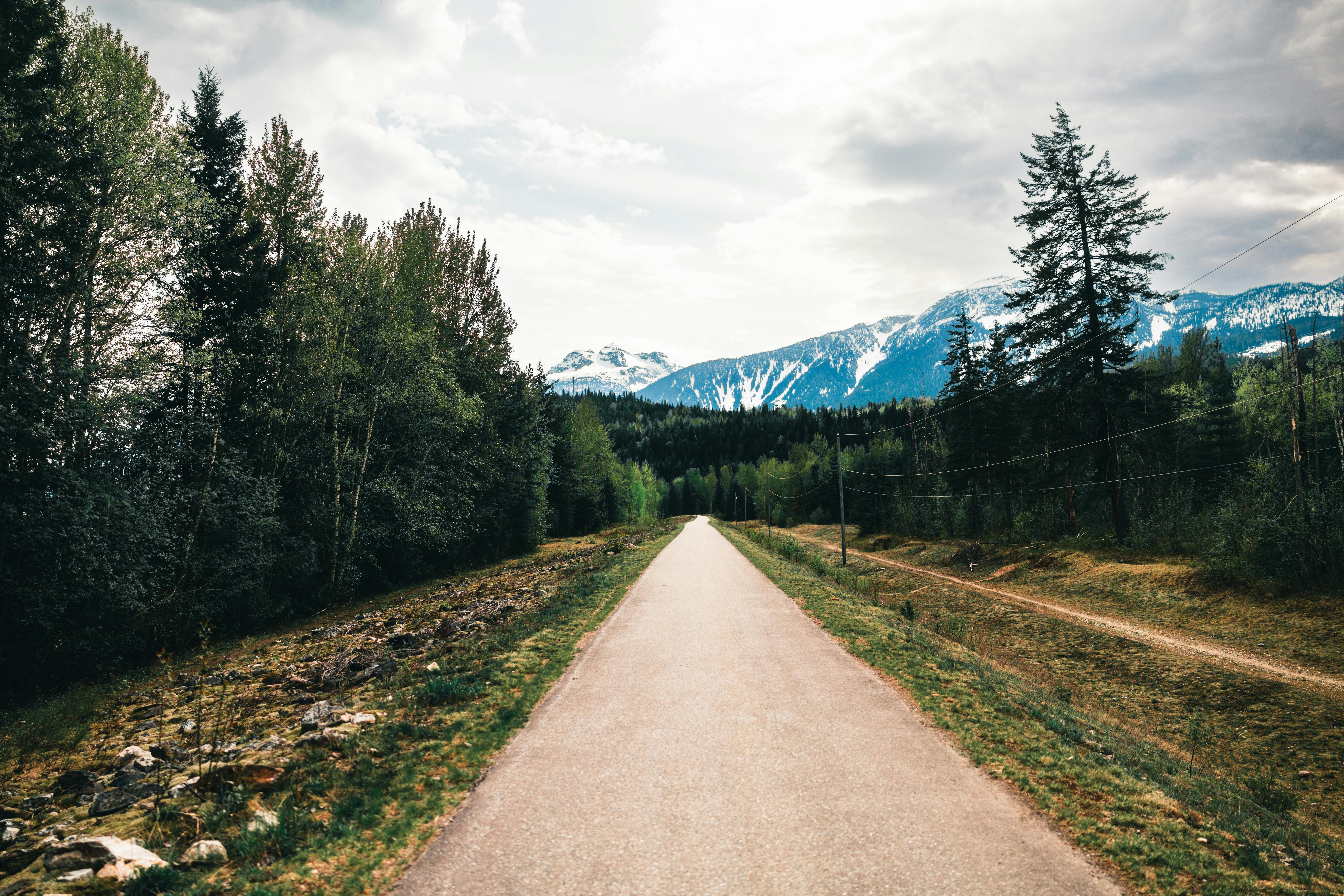 Columbia opens third outdoor fitness court at Rosewood Park — Photo by Ali Kazal on Pexels
