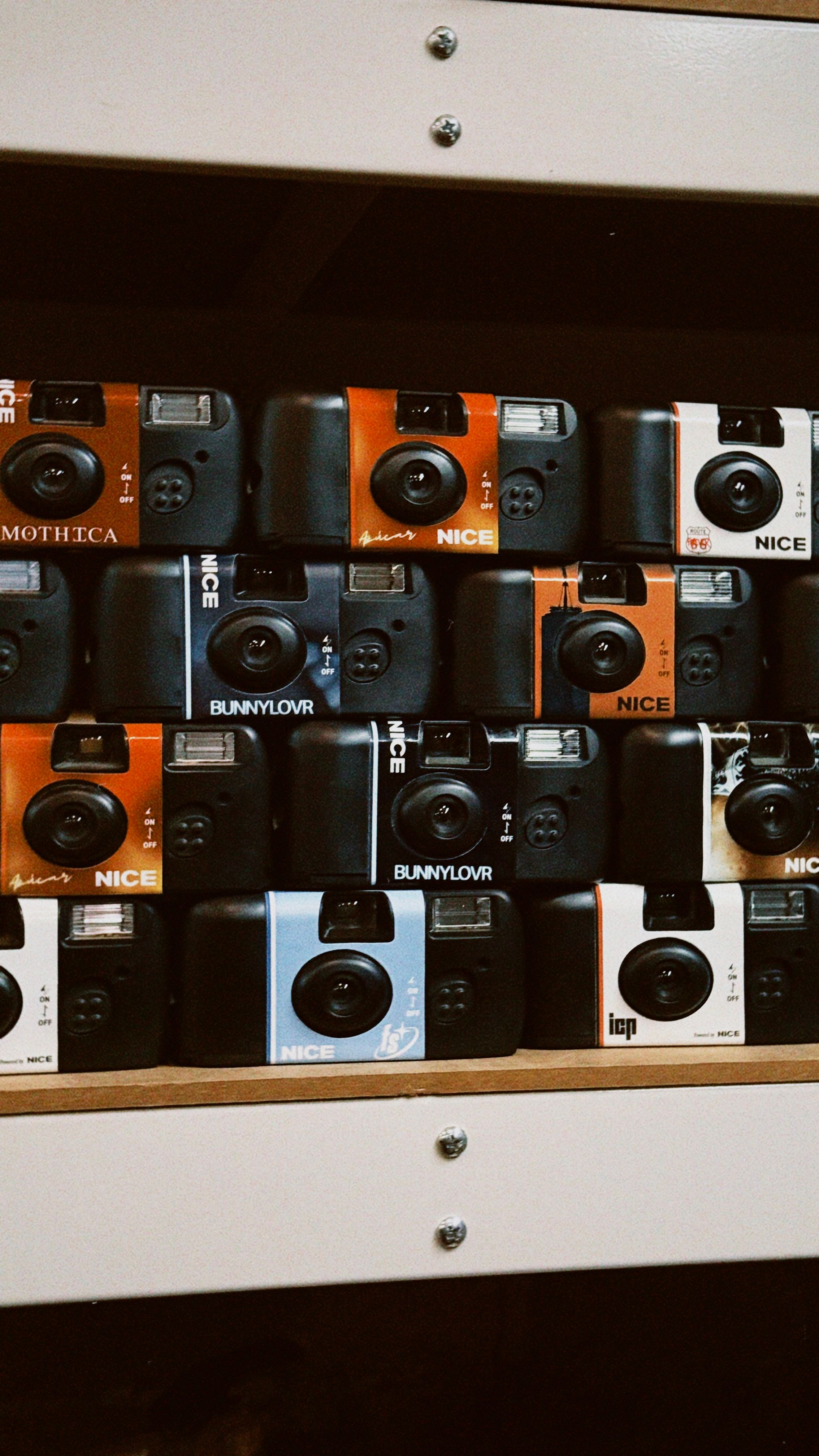 Rows of vintage film cameras arranged on a shelf, showcasing retro and nostalgic appeal.