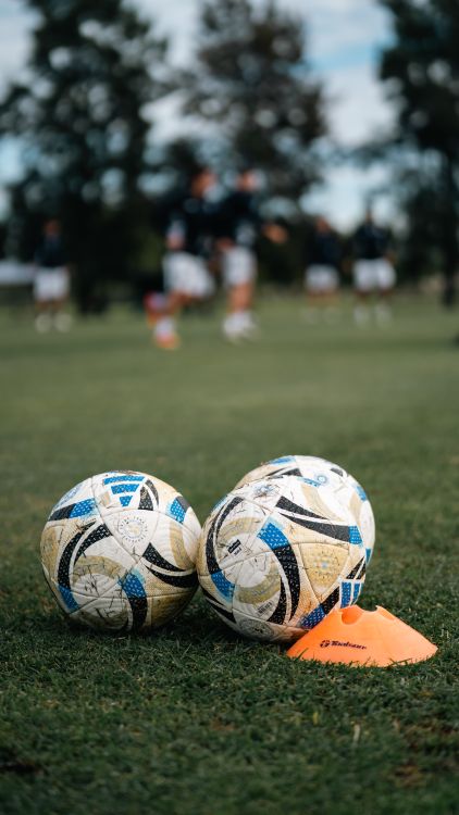 Foto de stock gratuita sobre actividad de grupo, activo, al aire libre ...