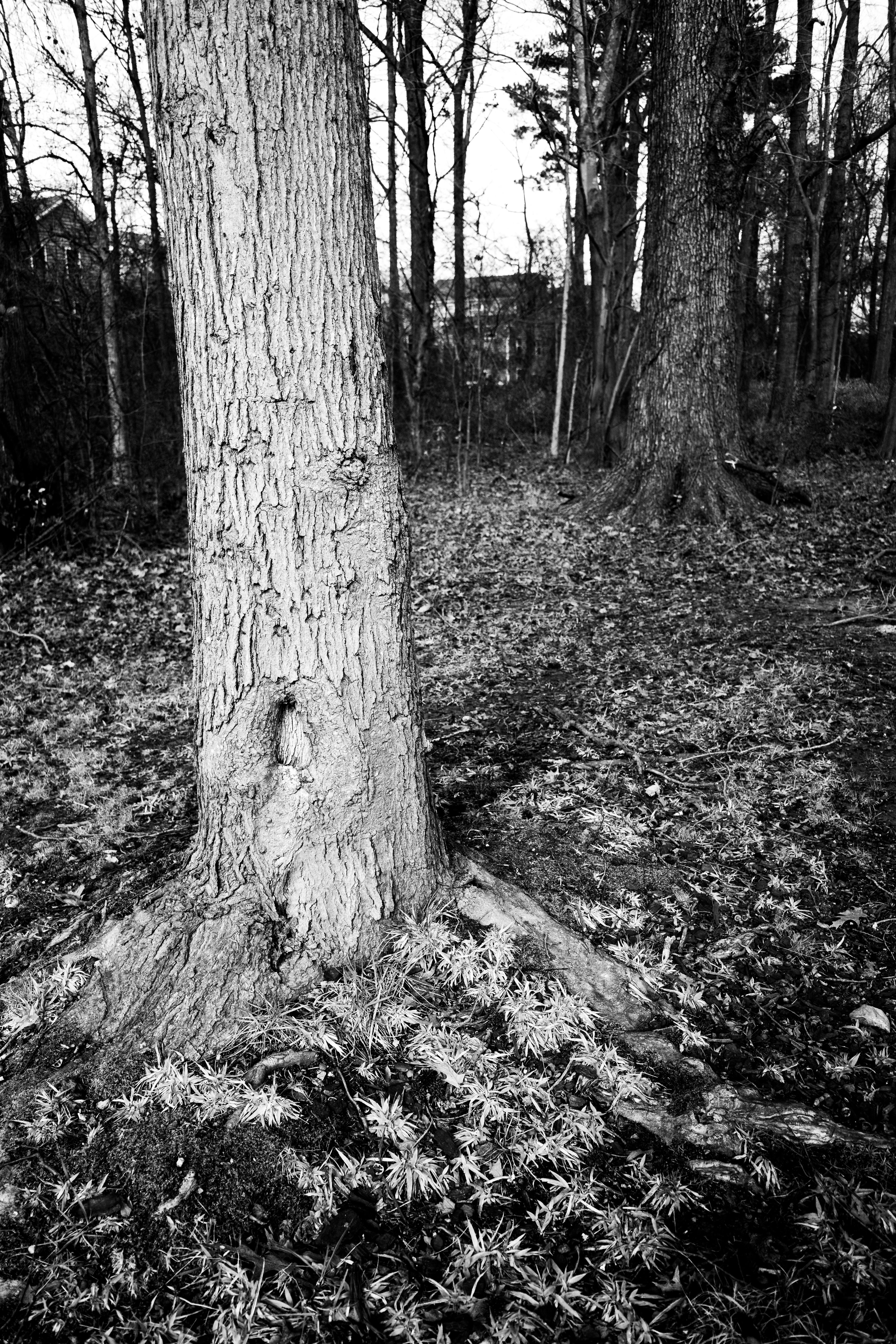 Visit the United Nations