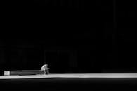 一张引人注目的黑白照片捕捉到一位孤独的男人坐在长凳上，传达出他的孤独与沉思