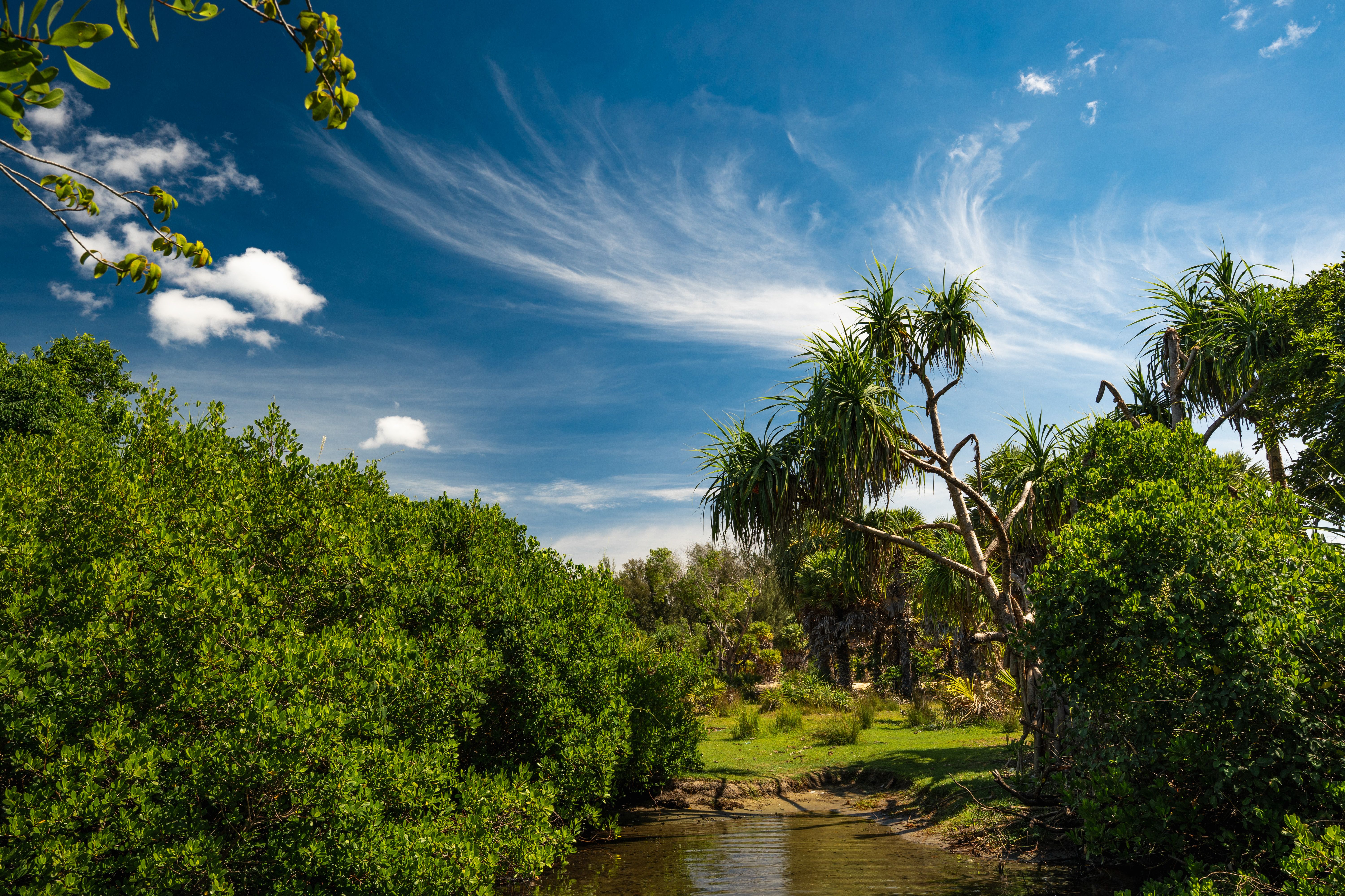 5 Day 'Escape & Thrive' Private Wellness Retreat in Sunny Tulum 2