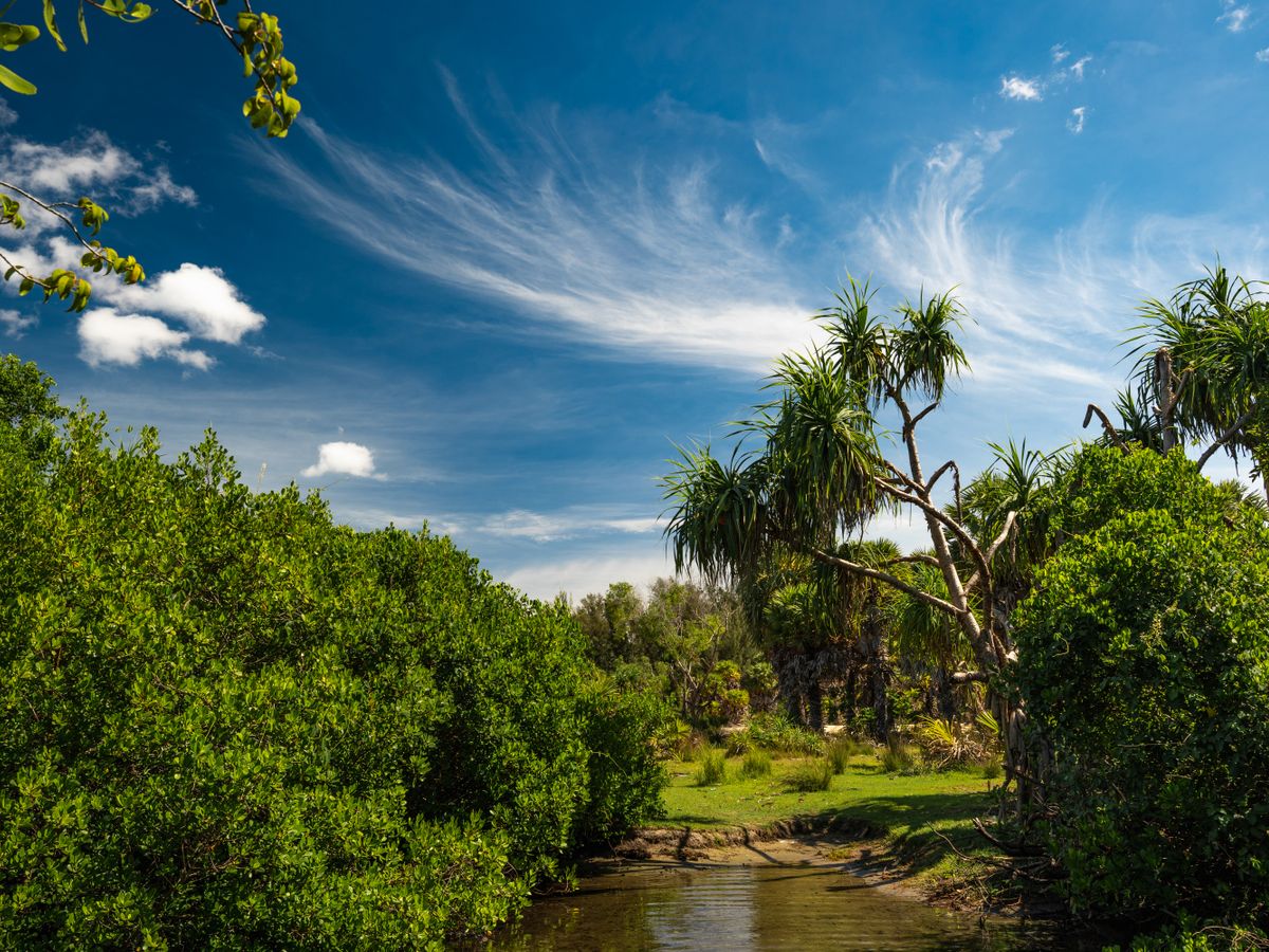 5 Day 'Escape & Thrive' Private Wellness Retreat in Sunny Tulum 2