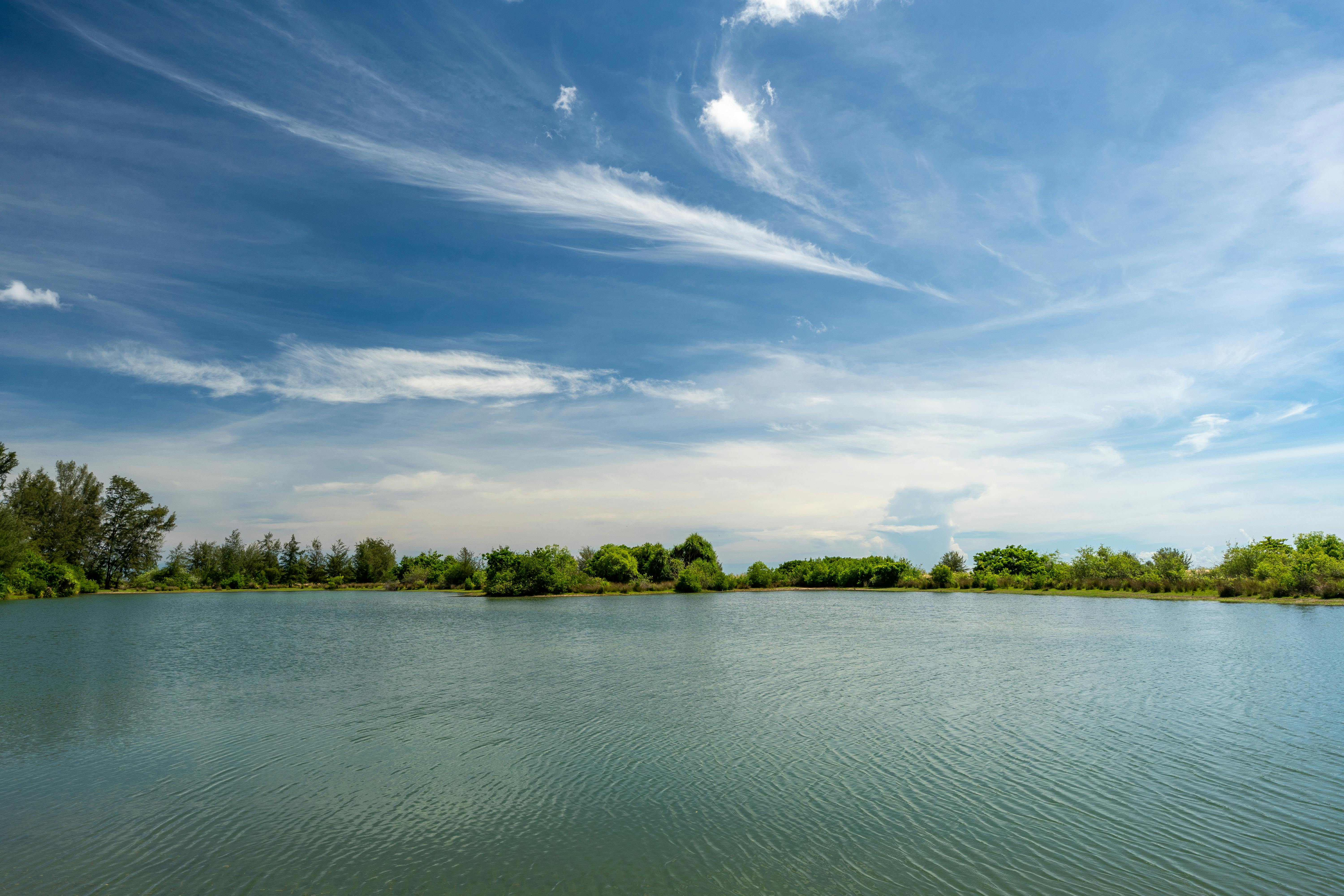 Tranquil landscape of Batticaloa Lagoon with lush greenery and blue skies, perfect for travel inspiration.