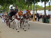 A vibrant horse carriage parade during a festive fair in El Puerto de Santa María, Spain.