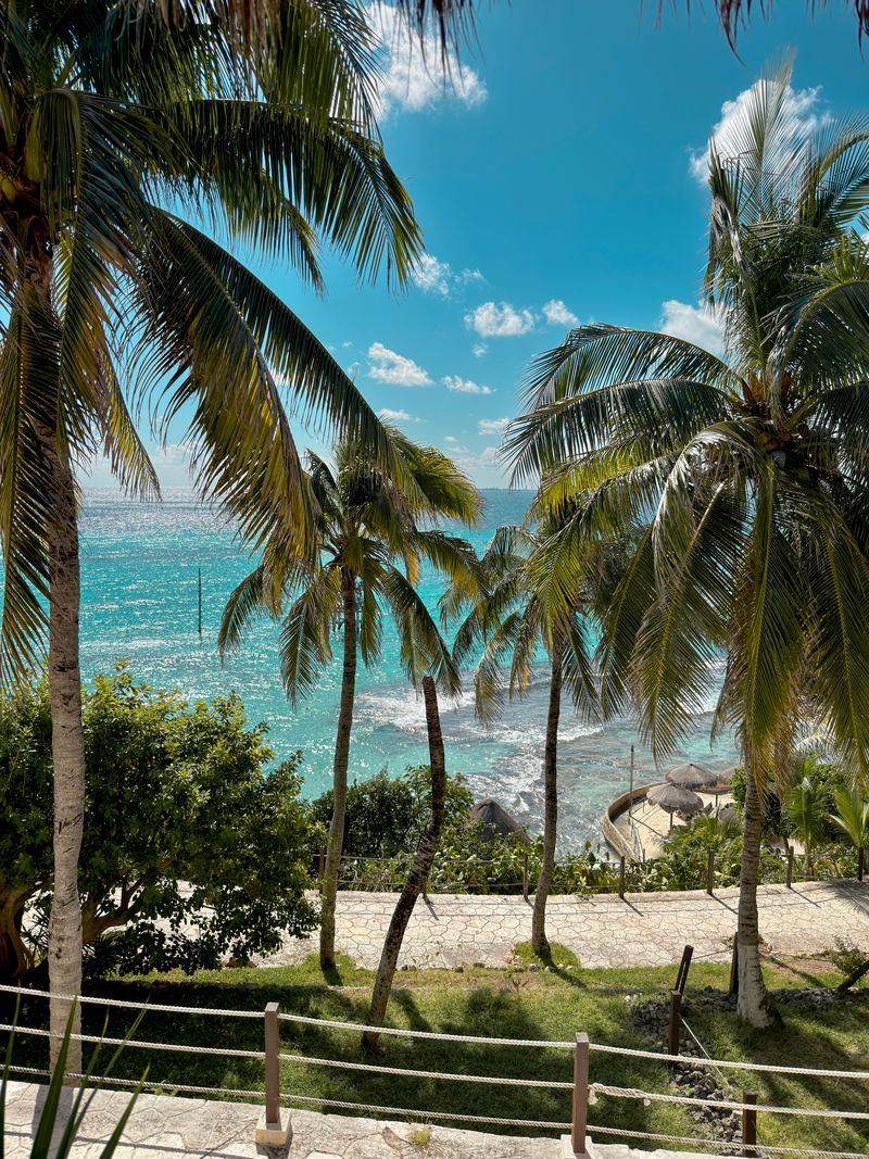 Scenic tropical cliff viewpoint with palm trees on Isla Mujeres, Mexico
