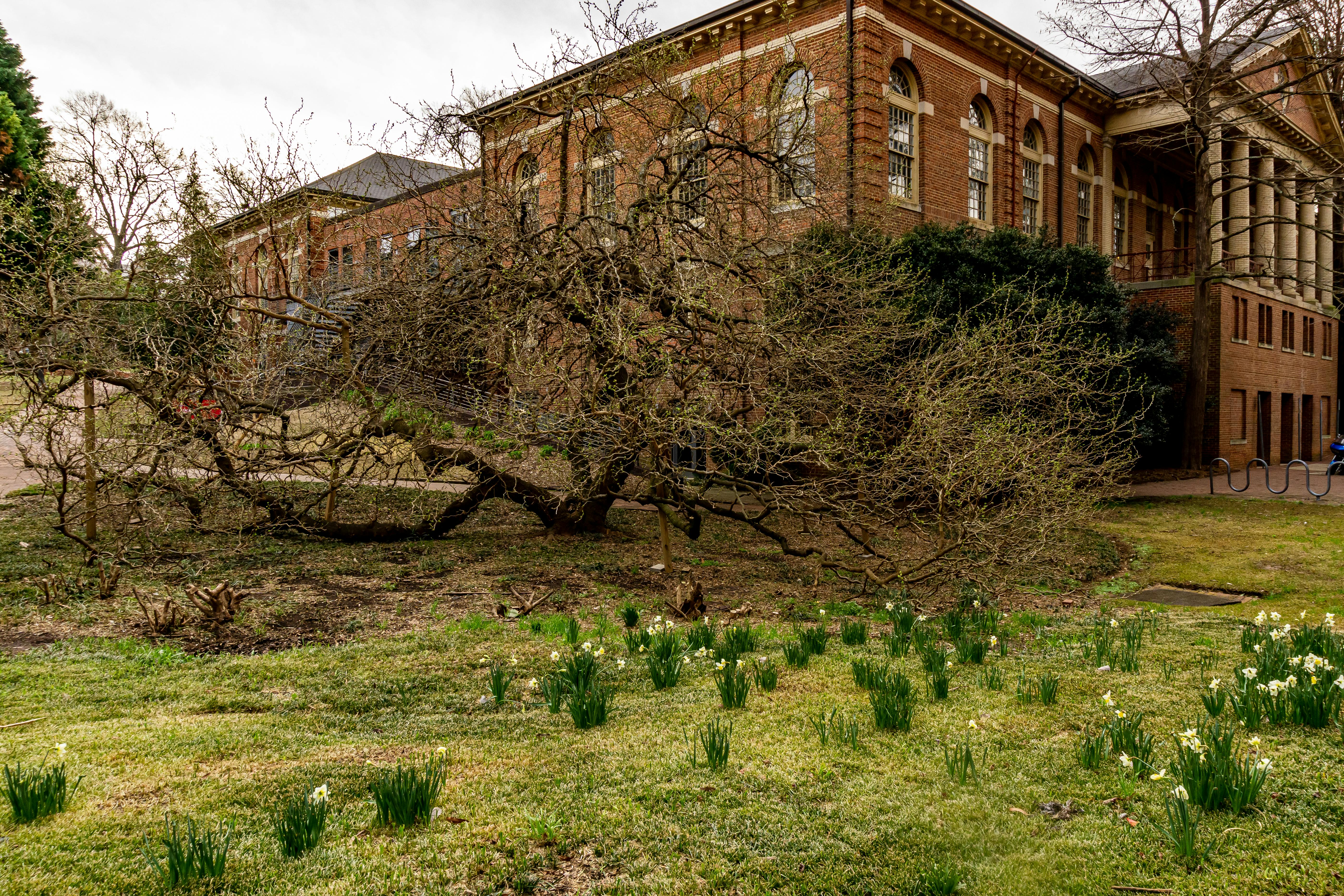 Práctica de respiración consciente al aire libre