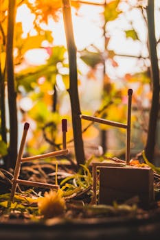 秋天，公园里一棵树干细、绿叶鲜艳的树附近的草地上，散落着一些安全火柴