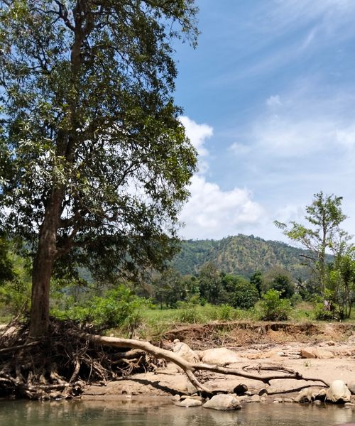 Free Peaceful natural scene with trees and hills under a blue sky in Kandy, Sri Lanka. Stock Photo