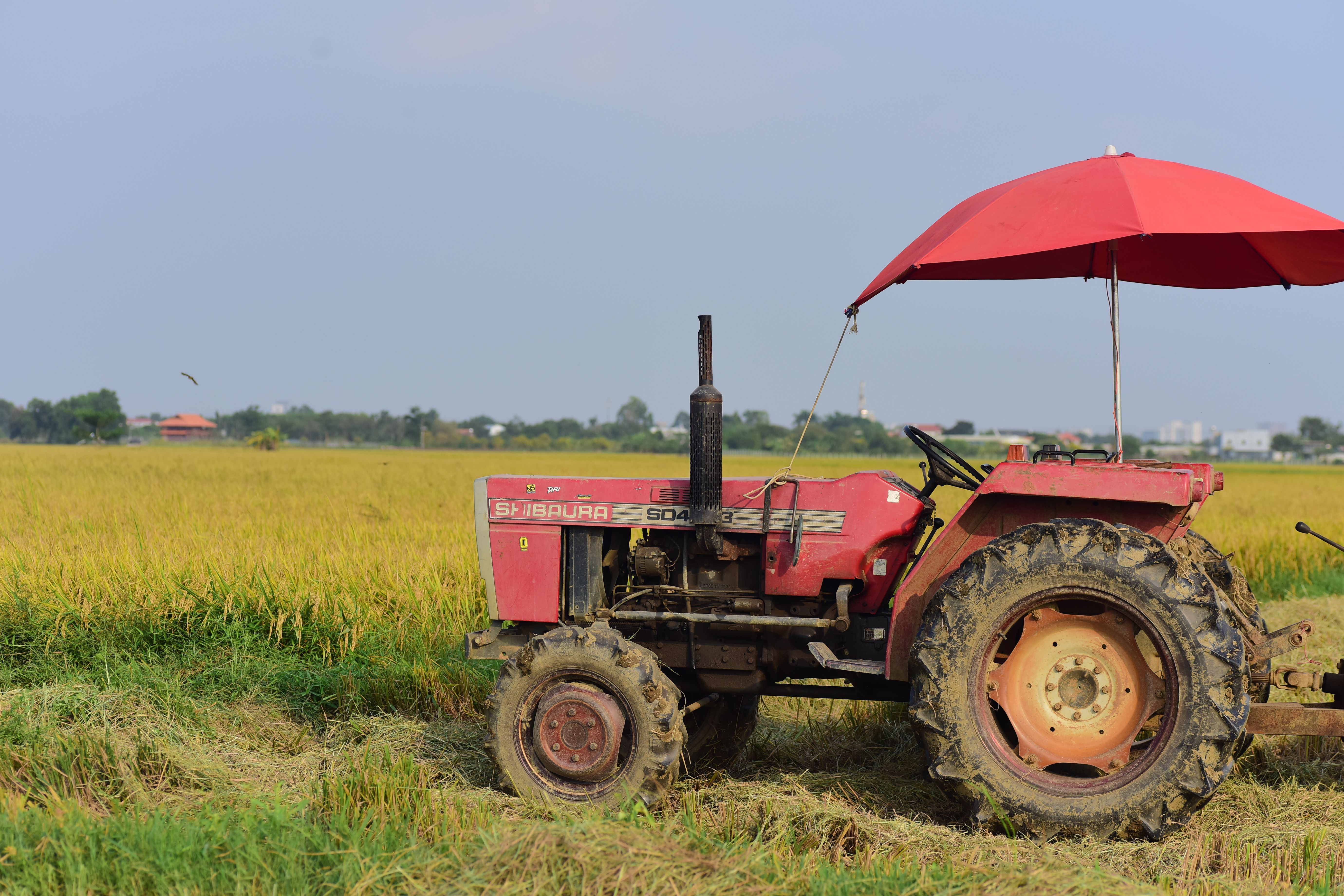Red Tractor in Golden Wheat Field Under Blue Sky · Free Stock Photo