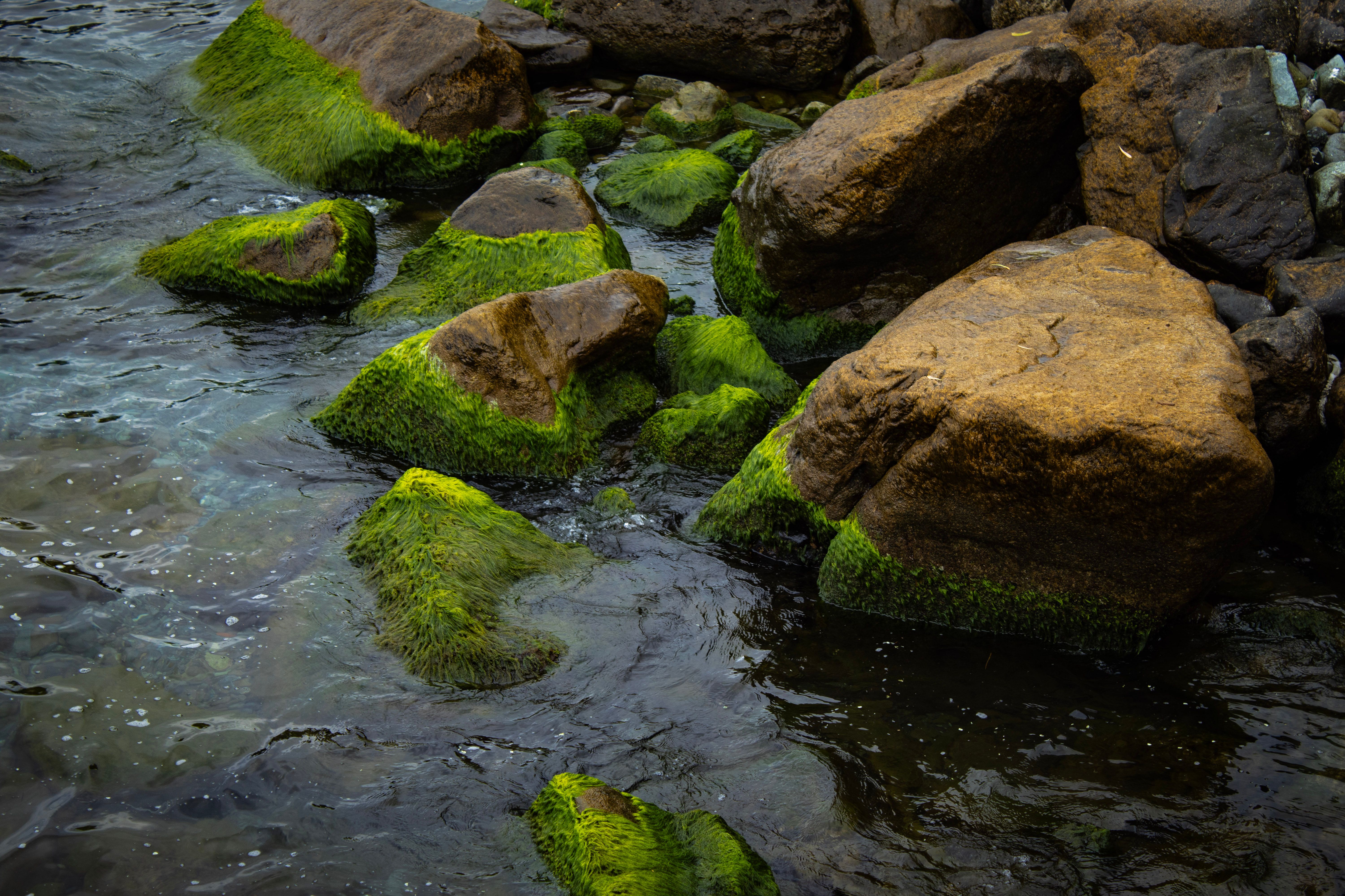 Recharge Your Soul, Save the Planet: The 2026 Guide to Transformative Eco-Spiritual Retreats!