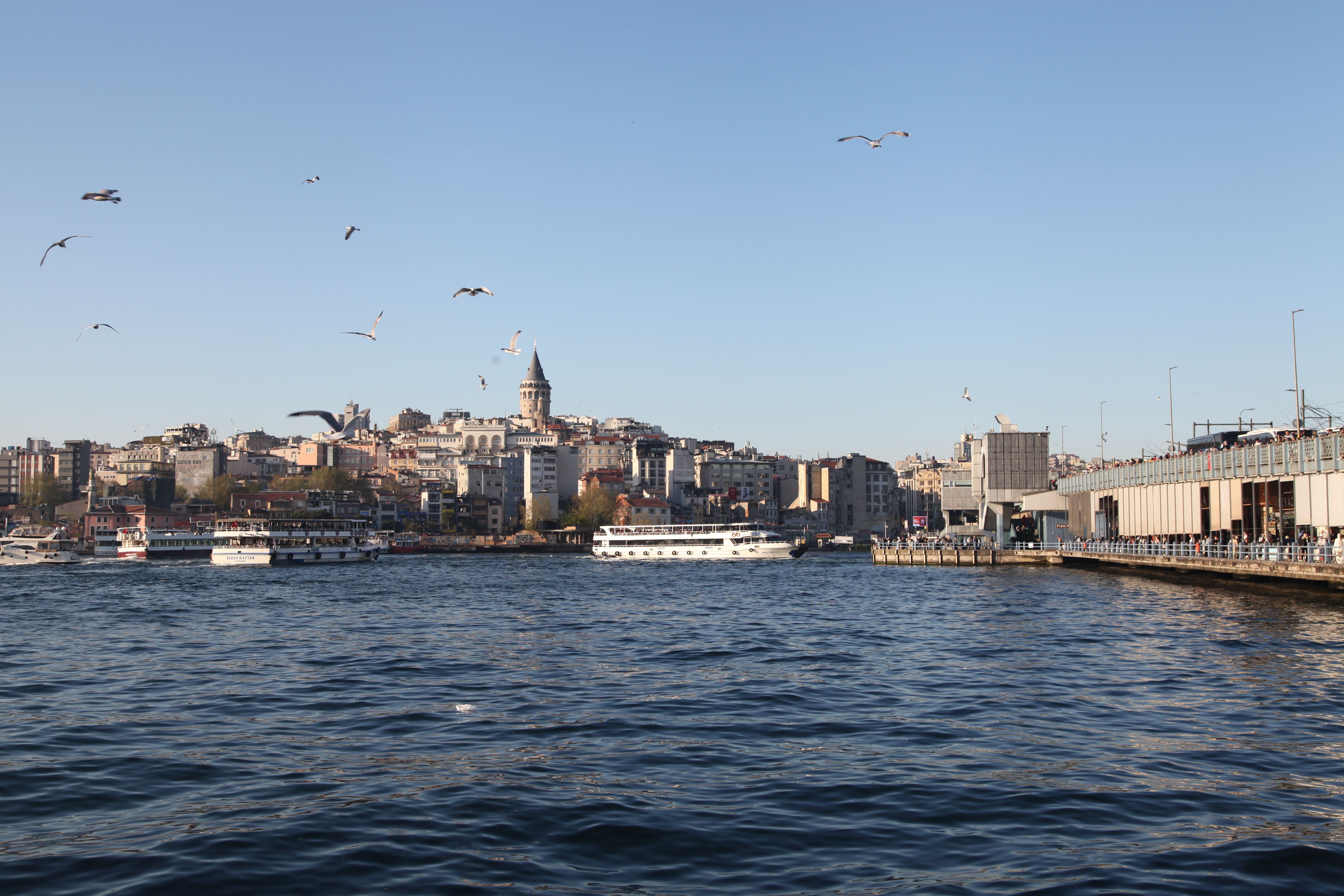 Istanbul cityscape with Galata Tower and ferry boats on the Bosphorus, seagulls soaring in the sky.